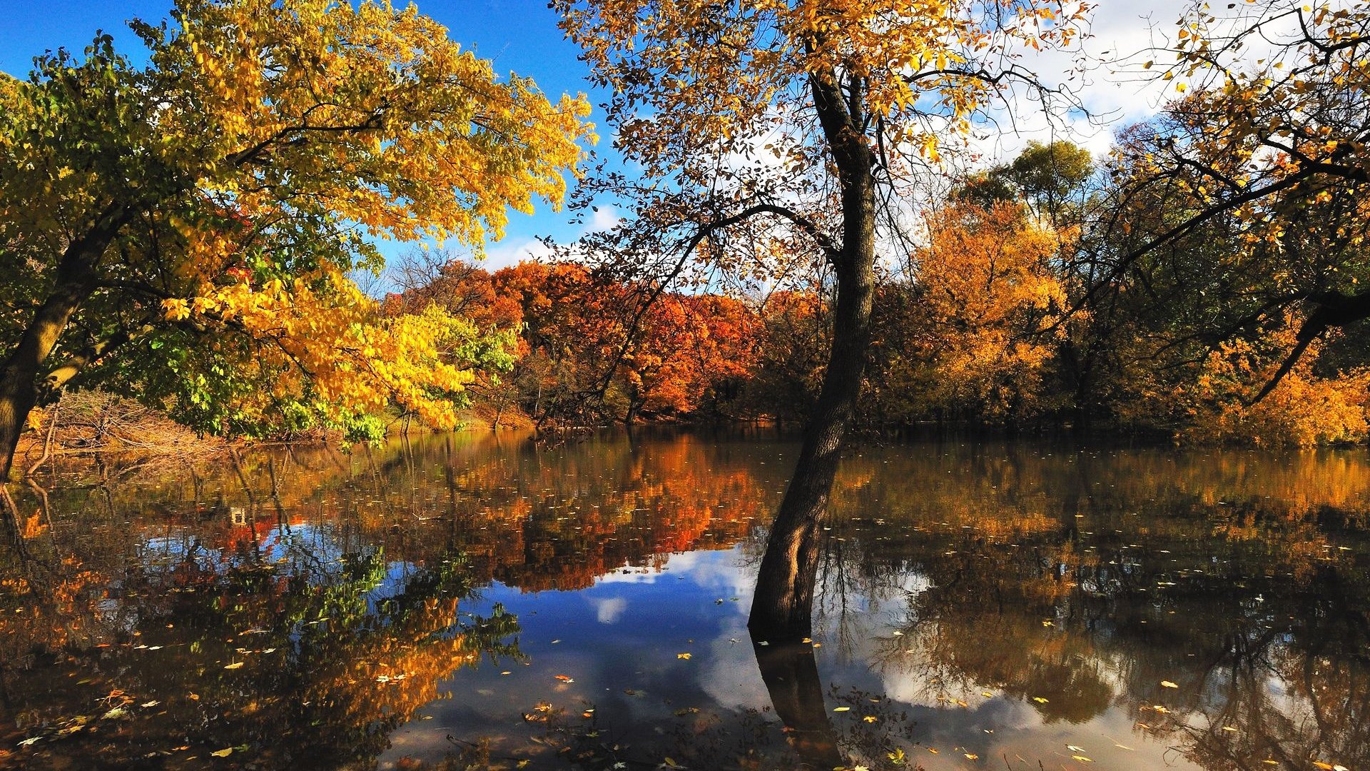 Обои деревья, вода, отражение, листва, осень, trees, water, reflection, foliage, autumn разрешение 1920x1280 Загрузить