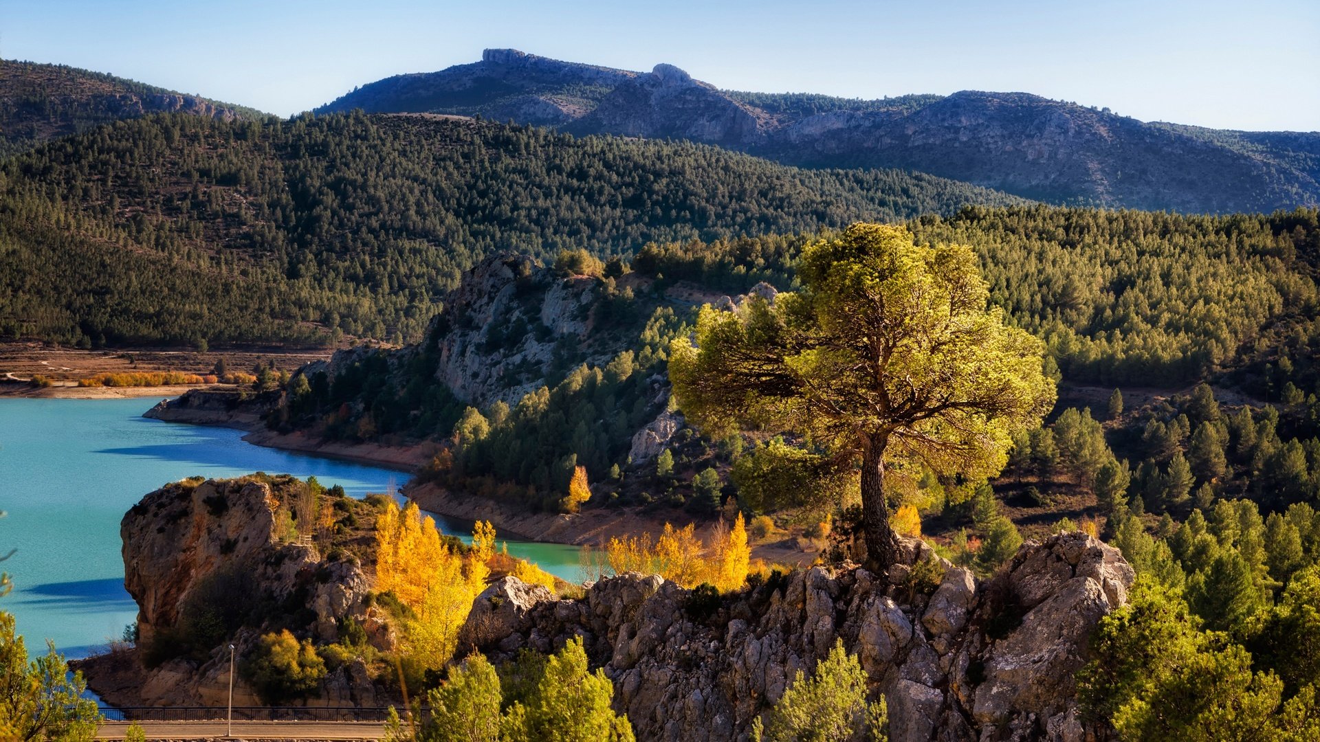 Обои дорога, солнечно, деревья, nerpio, albacete, река, горы, камни, лес, осень, испания, road, sunny, trees, river, mountains, stones, forest, autumn, spain разрешение 2900x1860 Загрузить