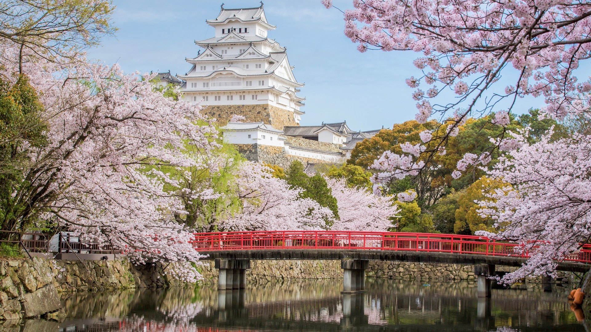 Обои мост, замок, япония, сакура, химэдзи, bridge, castle, japan, sakura, himeji разрешение 2048x1341 Загрузить