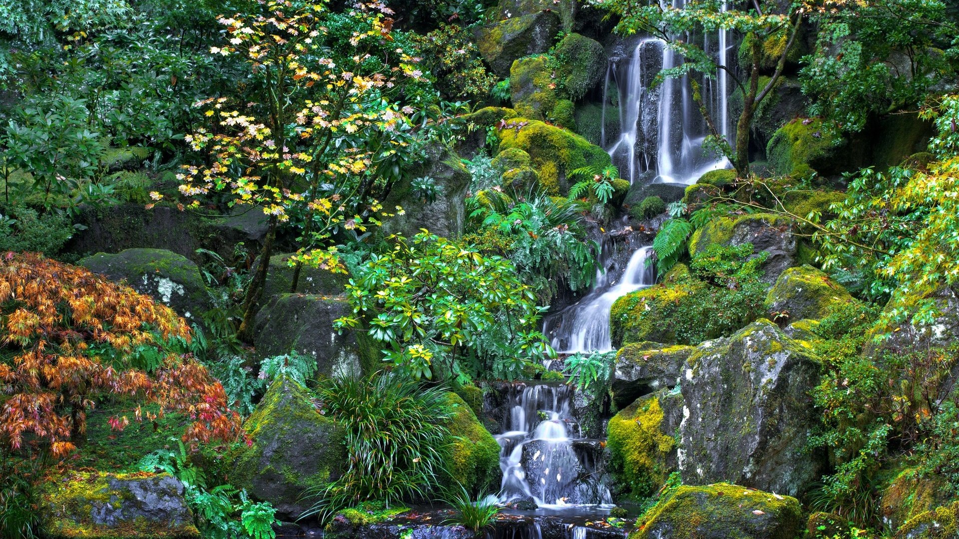 Обои деревья, вода, камни, зелень, водопад, орегон, японский сад, trees, water, stones, greens, waterfall, oregon, japanese garden разрешение 2048x1368 Загрузить