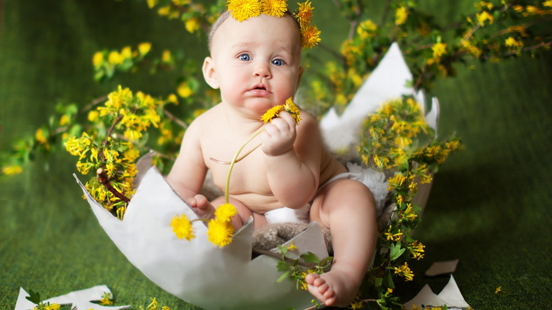 Обои цветы, ребенок, одуванчики, малыш, венок, скорлупа, яйцо, flowers, child, dandelions, baby, wreath, shell, egg разрешение 4182x3000 Загрузить