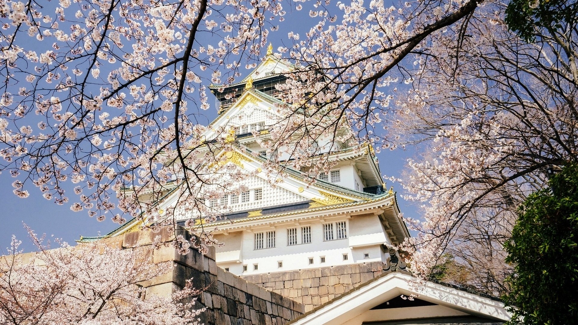 Обои небо, цветение, япония, весна, дворец, осака, the sky, flowering, japan, spring, palace, osaka разрешение 1920x1282 Загрузить