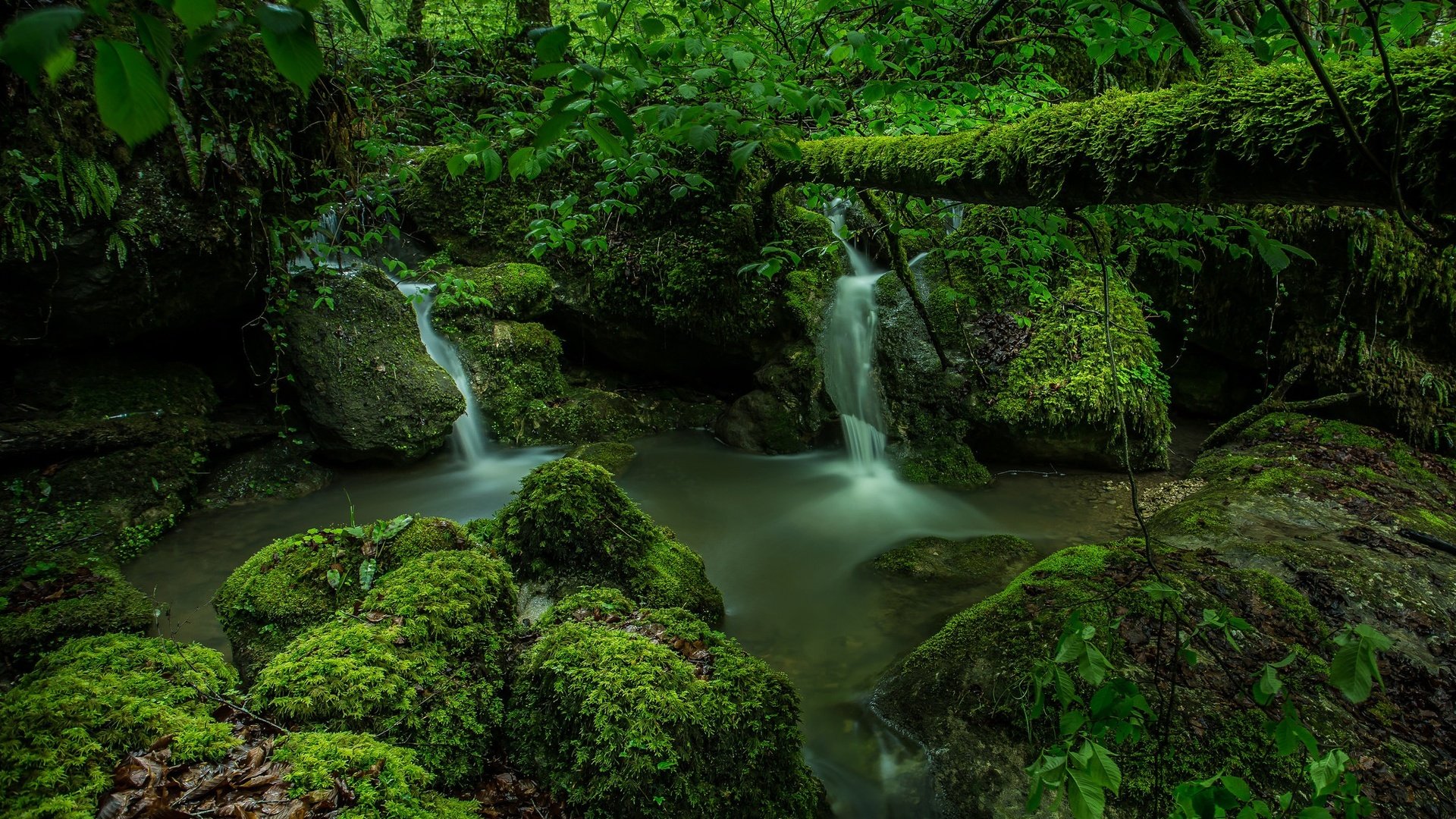 Обои зелень, лес, швейцария, мох, водопады, ручьи, kaltbrunnen valley, greens, forest, switzerland, moss, waterfalls, streams разрешение 2048x1597 Загрузить