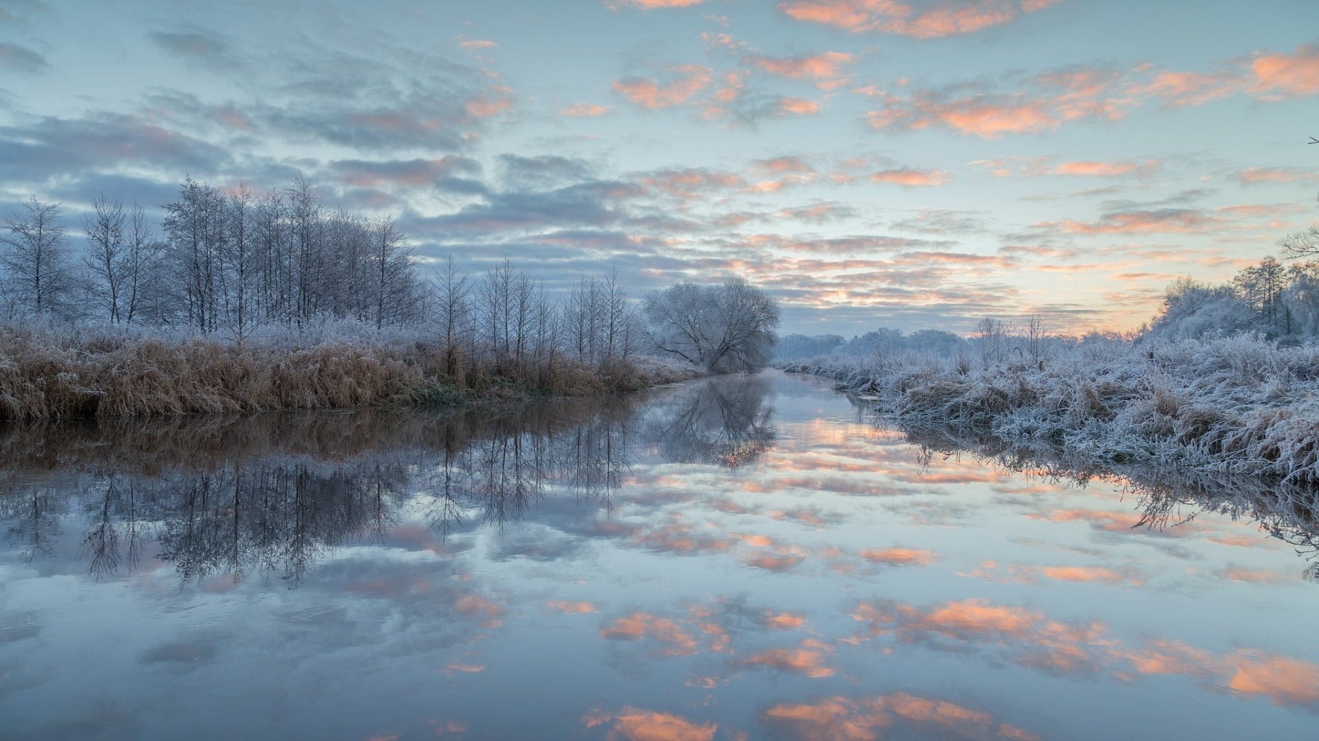 Обои небо, иней, облака, деревья, озеро, природа, лес, зима, пейзаж, the sky, frost, clouds, trees, lake, nature, forest, winter, landscape разрешение 1920x1200 Загрузить