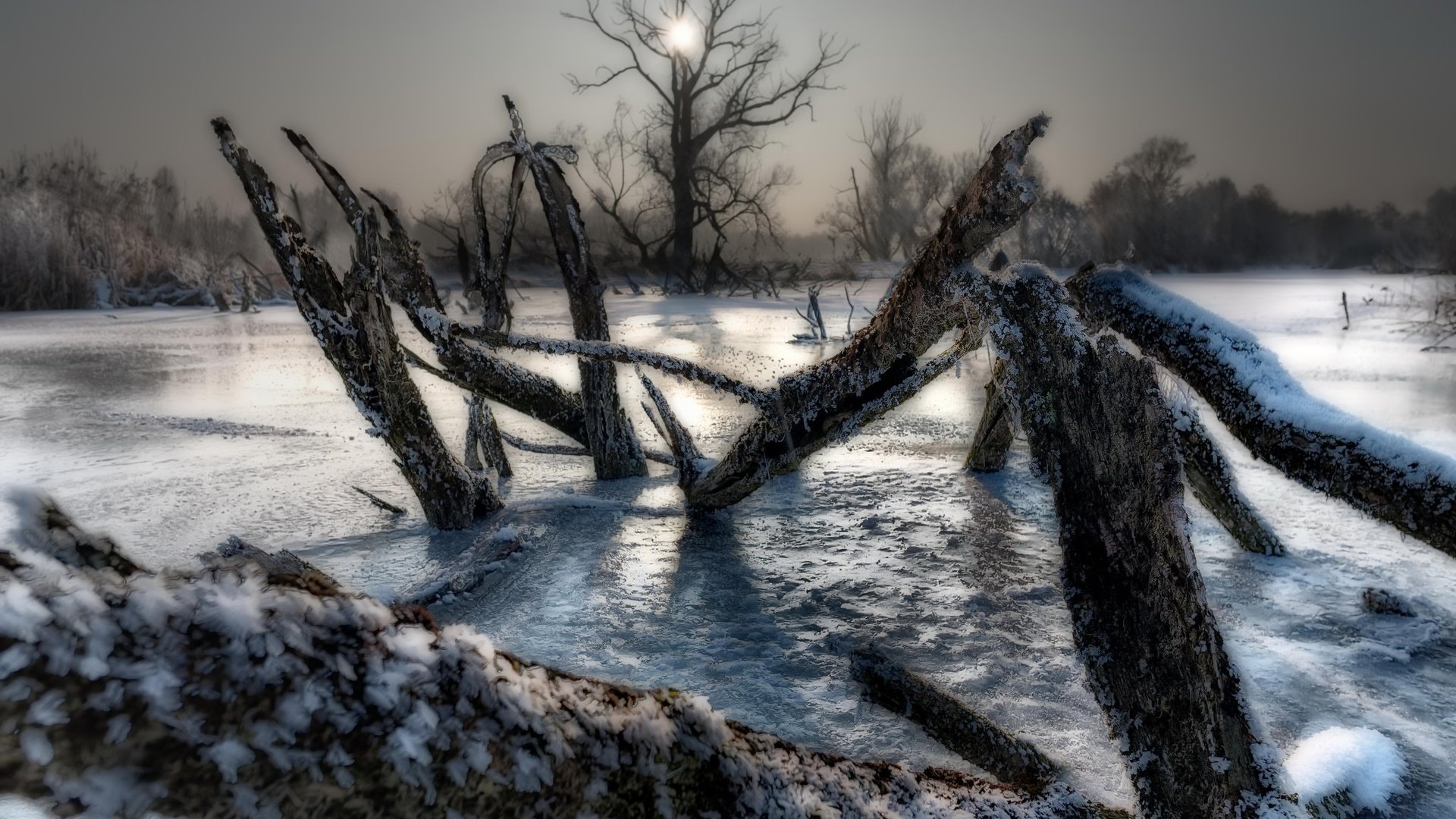 Обои деревья, озеро, зима, лёд, холод, trees, lake, winter, ice, cold разрешение 2048x1372 Загрузить