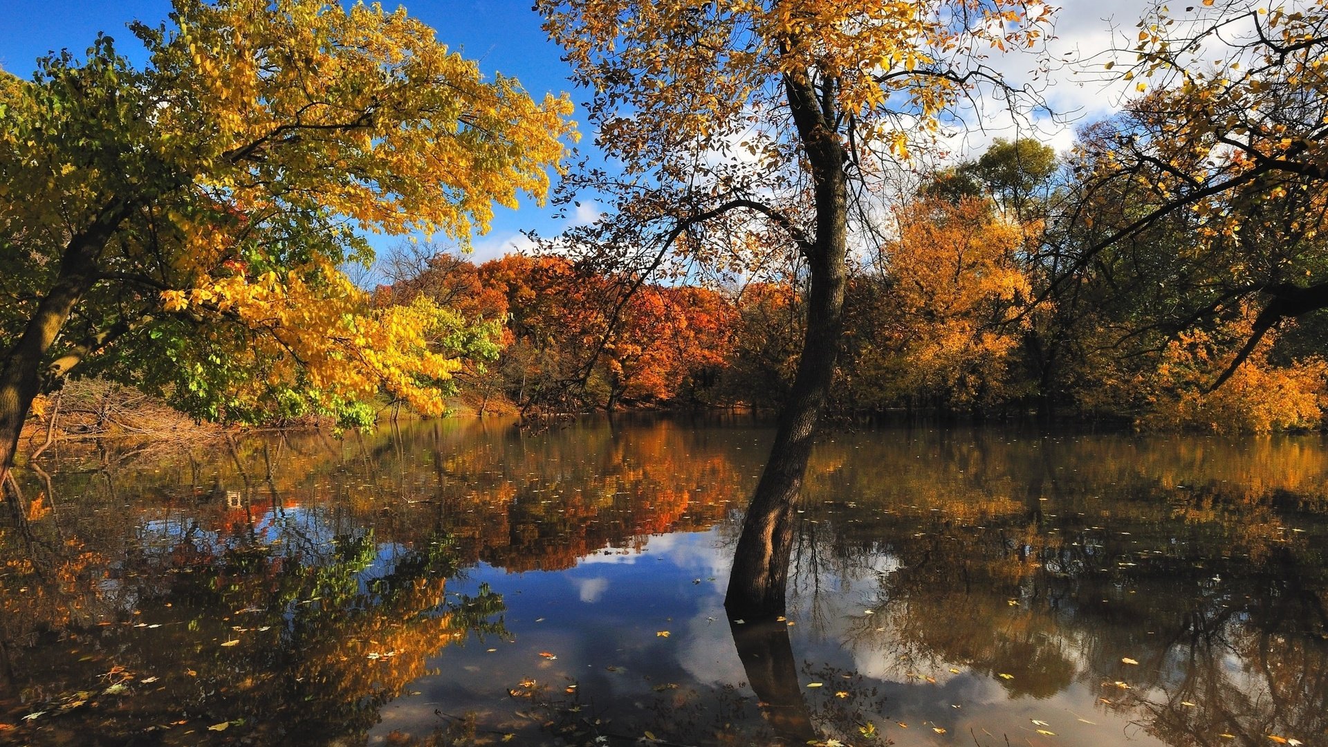 Обои вода, природа, осень, красиво, water, nature, autumn, beautiful разрешение 2560x1600 Загрузить