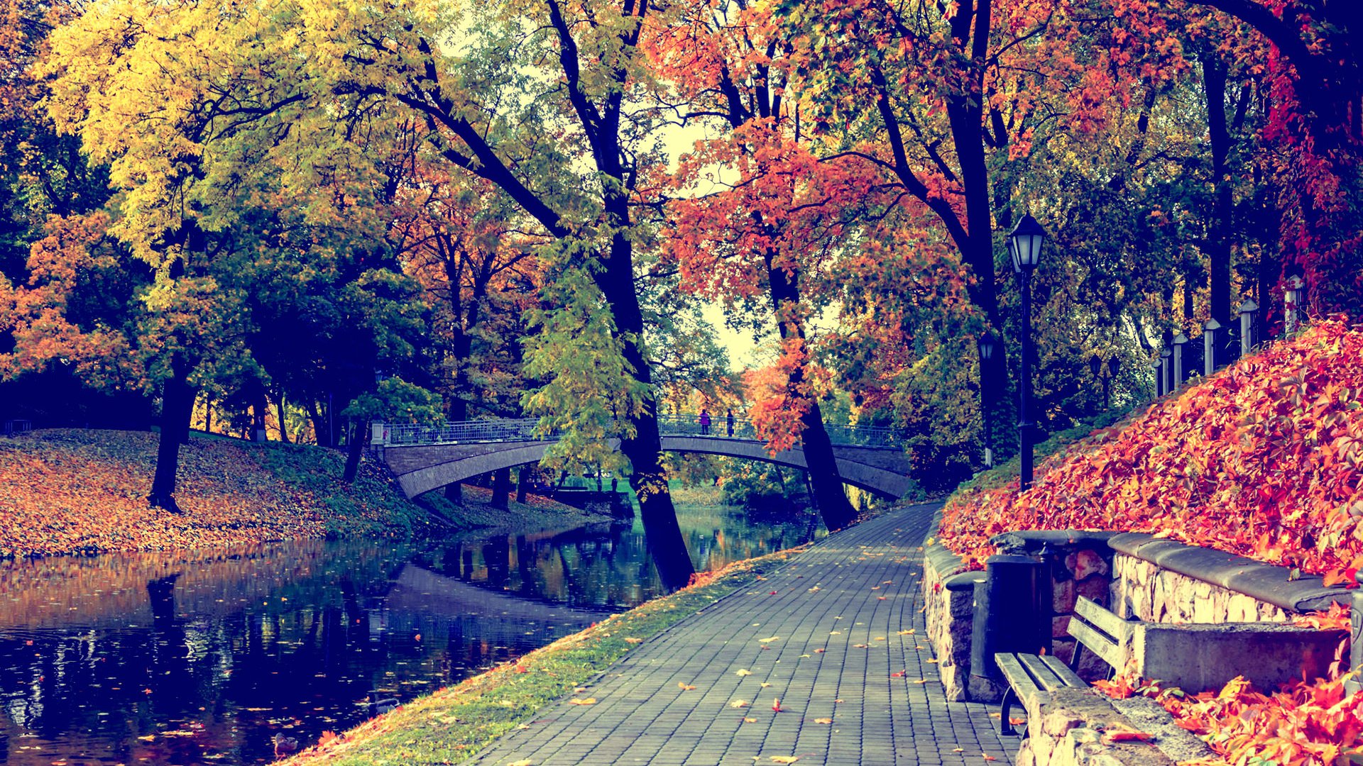 Обои природа, парк, мост, осень, канал, скамейка, nature, park, bridge, autumn, channel, bench разрешение 1920x1200 Загрузить