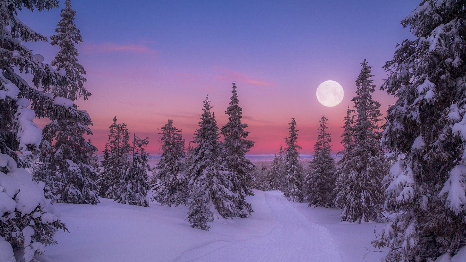 Обои восход, природа, лес, зима, утро, луна, холод, jørn allan pedersen, sunrise, nature, forest, winter, morning, the moon, cold разрешение 1920x1200 Загрузить