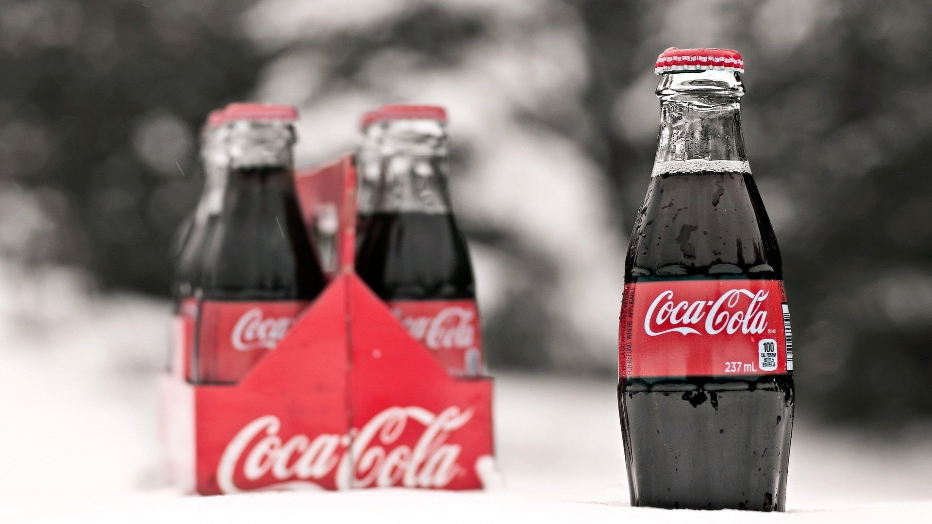 Обои снег, зима, бутылки, бренд, кока-кола, snow, winter, bottle, brand, coca-cola разрешение 1920x1200 Загрузить