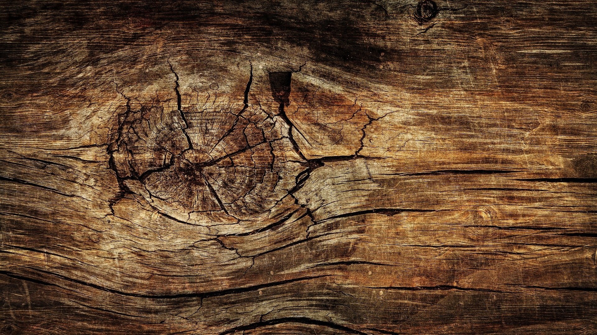 Обои дерево, текстура, доска, древесина, tree, texture, board, wood разрешение 1920x1280 Загрузить