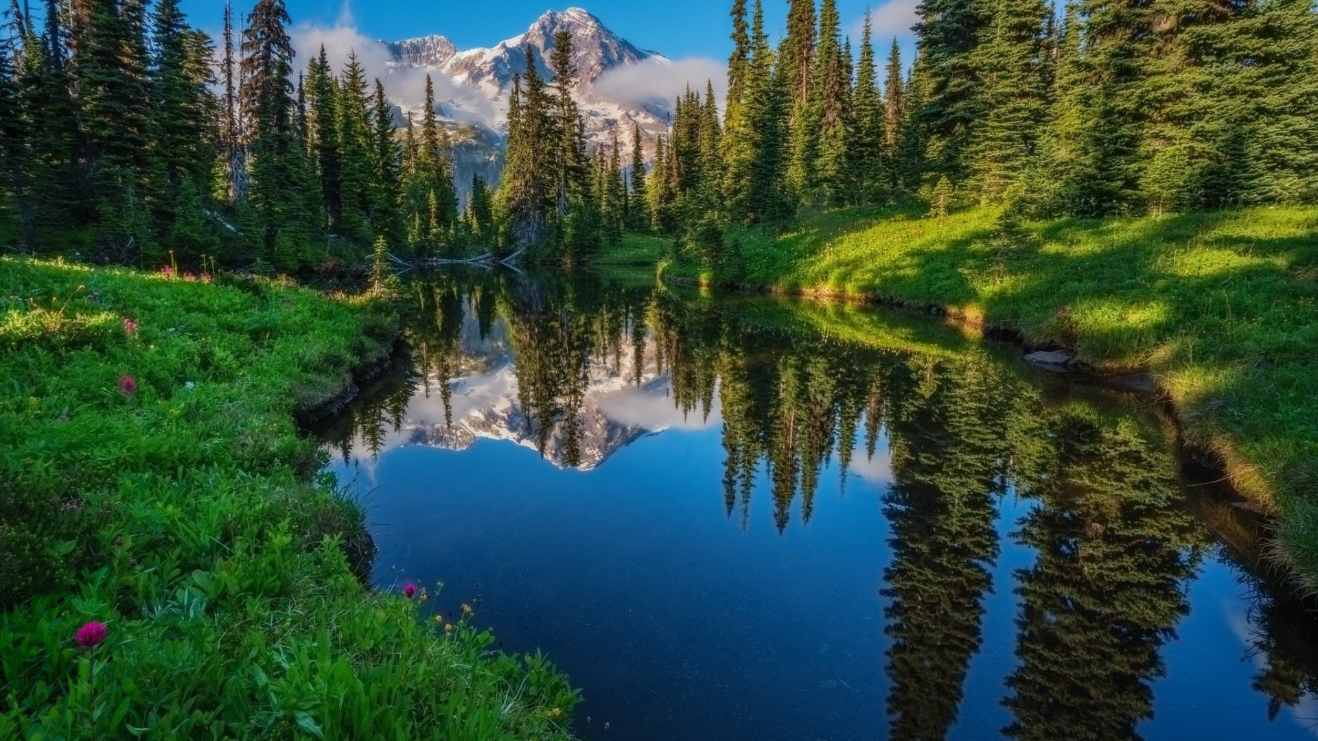 Обои небо, трава, деревья, река, горы, лес, отражение, the sky, grass, trees, river, mountains, forest, reflection разрешение 1920x1200 Загрузить