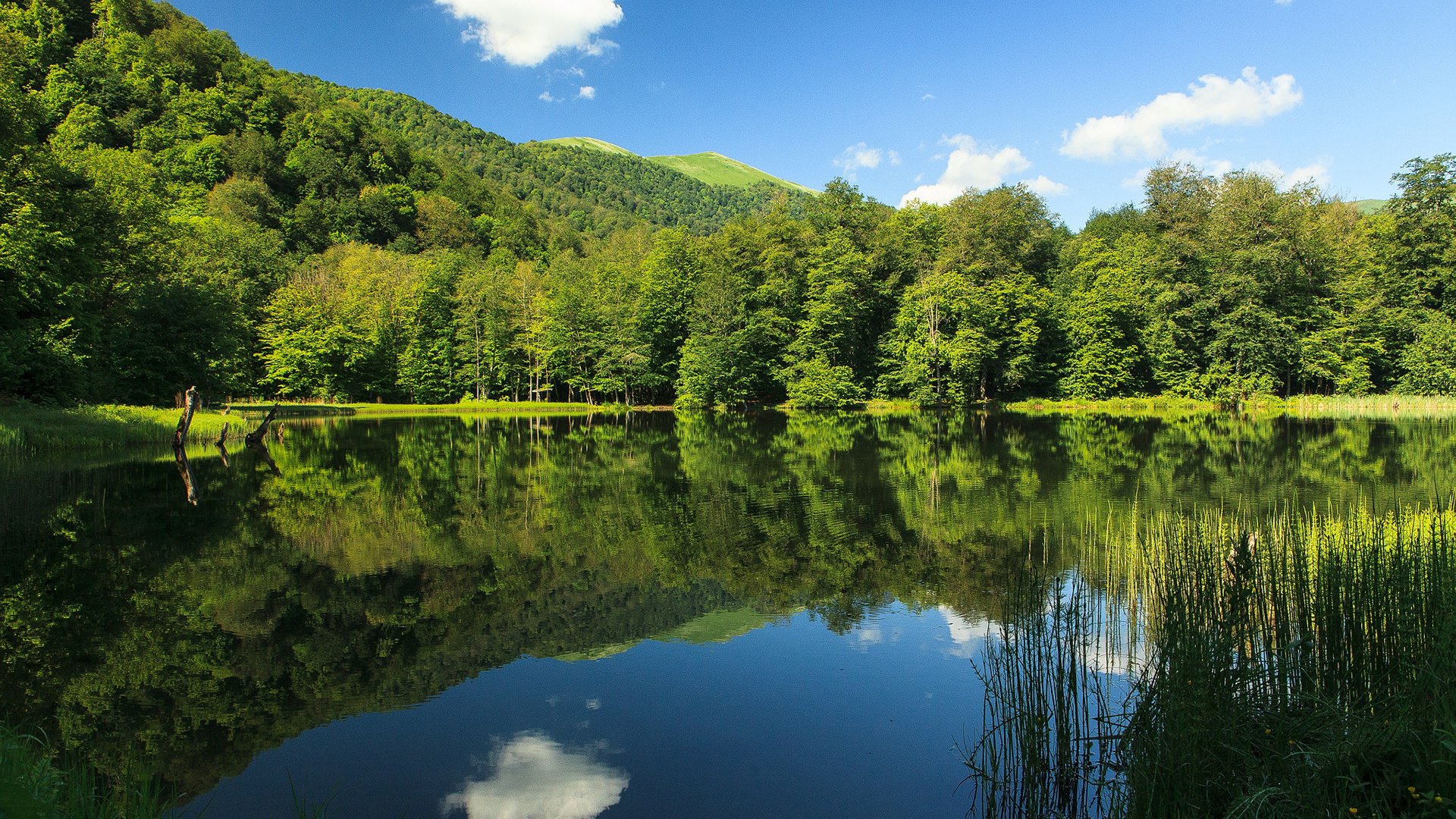 Обои небо, облака, озеро, природа, лес, отражение, the sky, clouds, lake, nature, forest, reflection разрешение 1920x1200 Загрузить