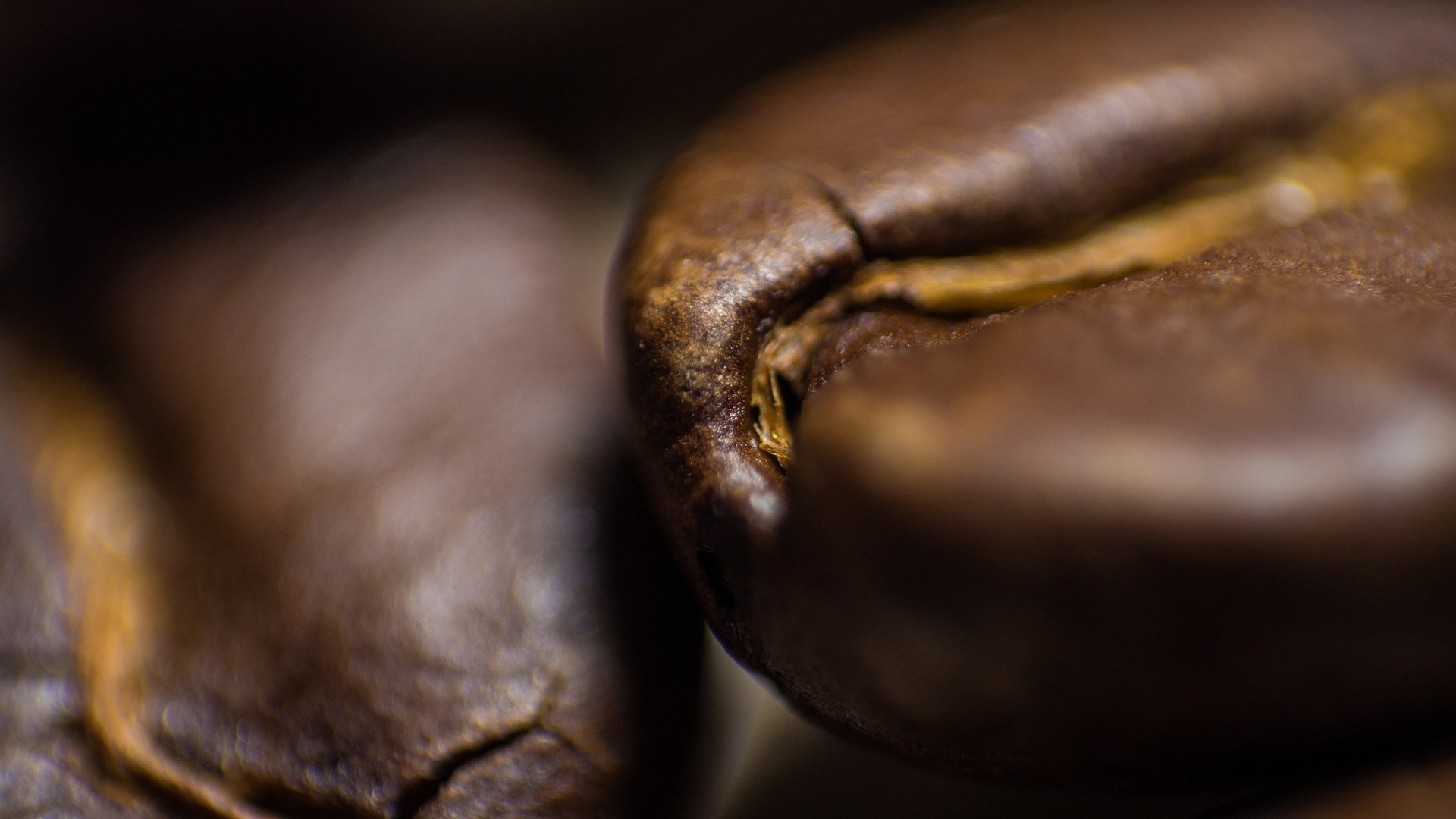 Обои кофе, кофейные зерна, крупным планом, coffee, coffee beans, closeup разрешение 4608x3072 Загрузить