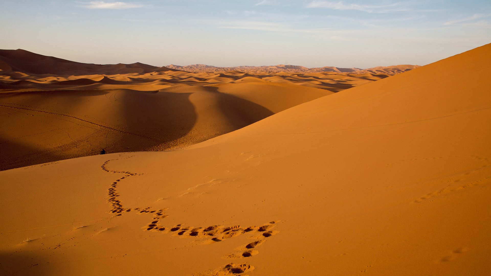Обои природа, пейзаж, песок, пустыня, следы, дюны, nature, landscape, sand, desert, traces, dunes разрешение 1920x1200 Загрузить