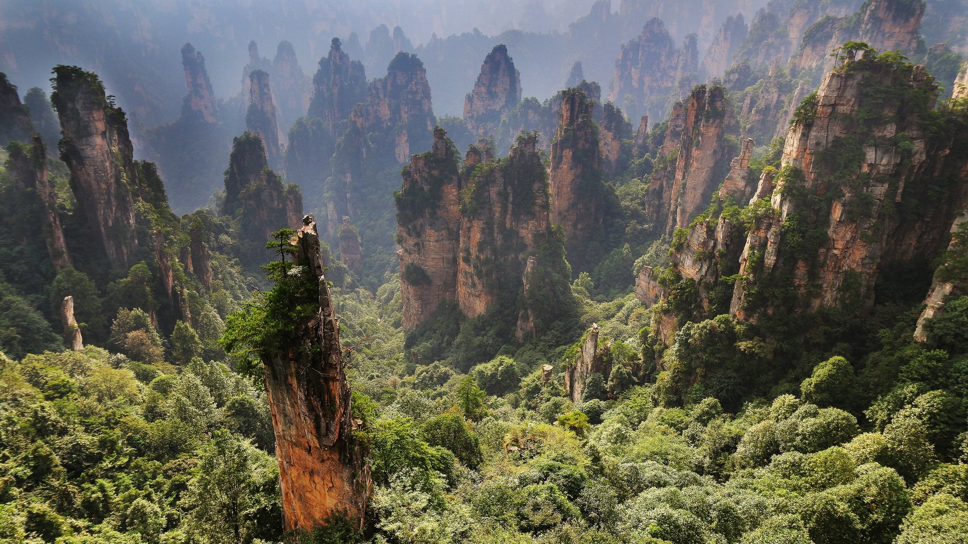 Обои горы, zhangjiajie, zhangjiajie national forest park, скалы, zhangjiajie national park, чжанцзяцзе, природа, пейзаж, утро, туман, китай, национальный парк, mountains, rocks, nature, landscape, morning, fog, china, national park разрешение 5119x3340 Загрузить