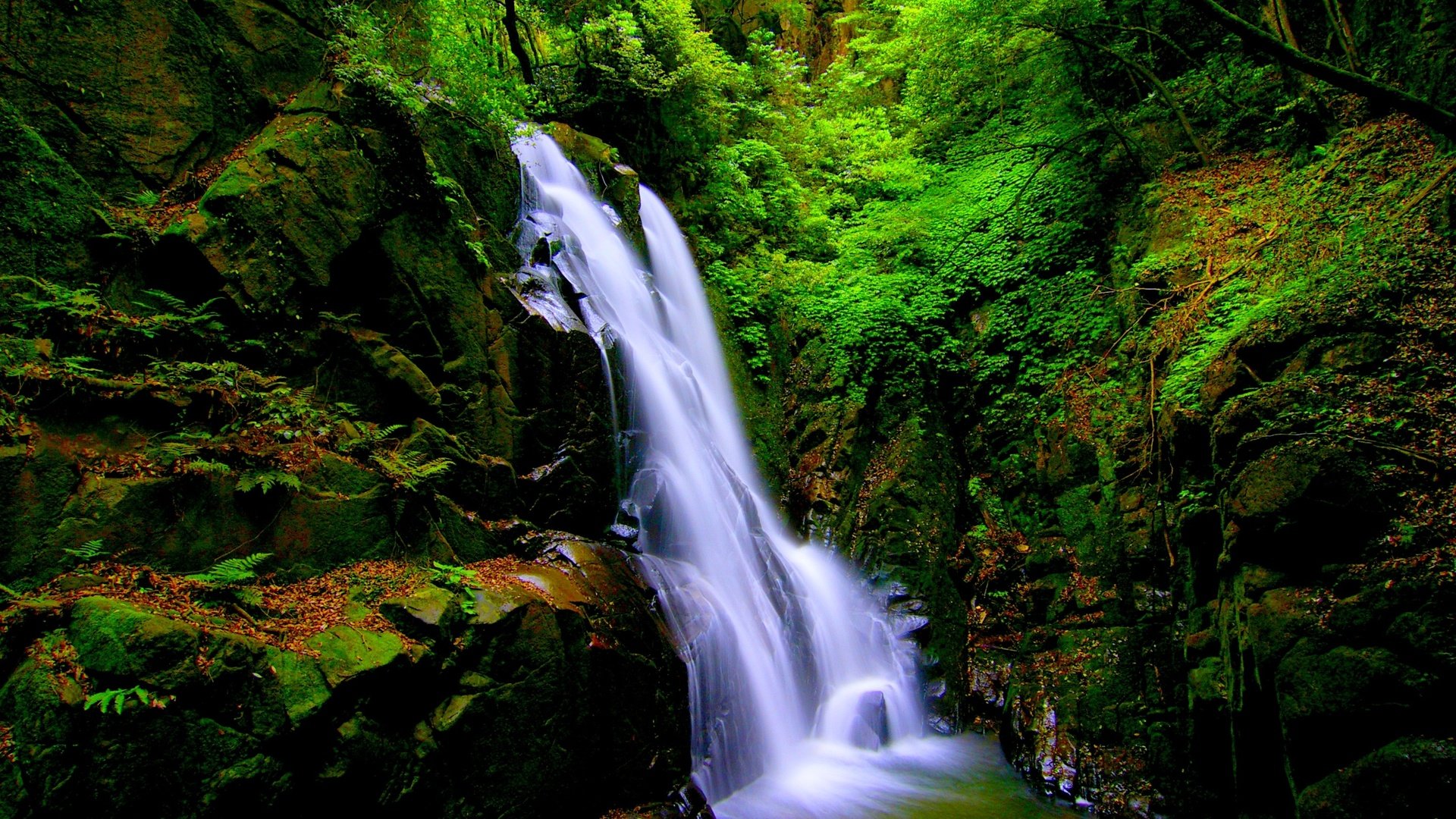 Обои камни, лес, пейзаж, скала, водопад, мох, stones, forest, landscape, rock, waterfall, moss разрешение 3000x2000 Загрузить