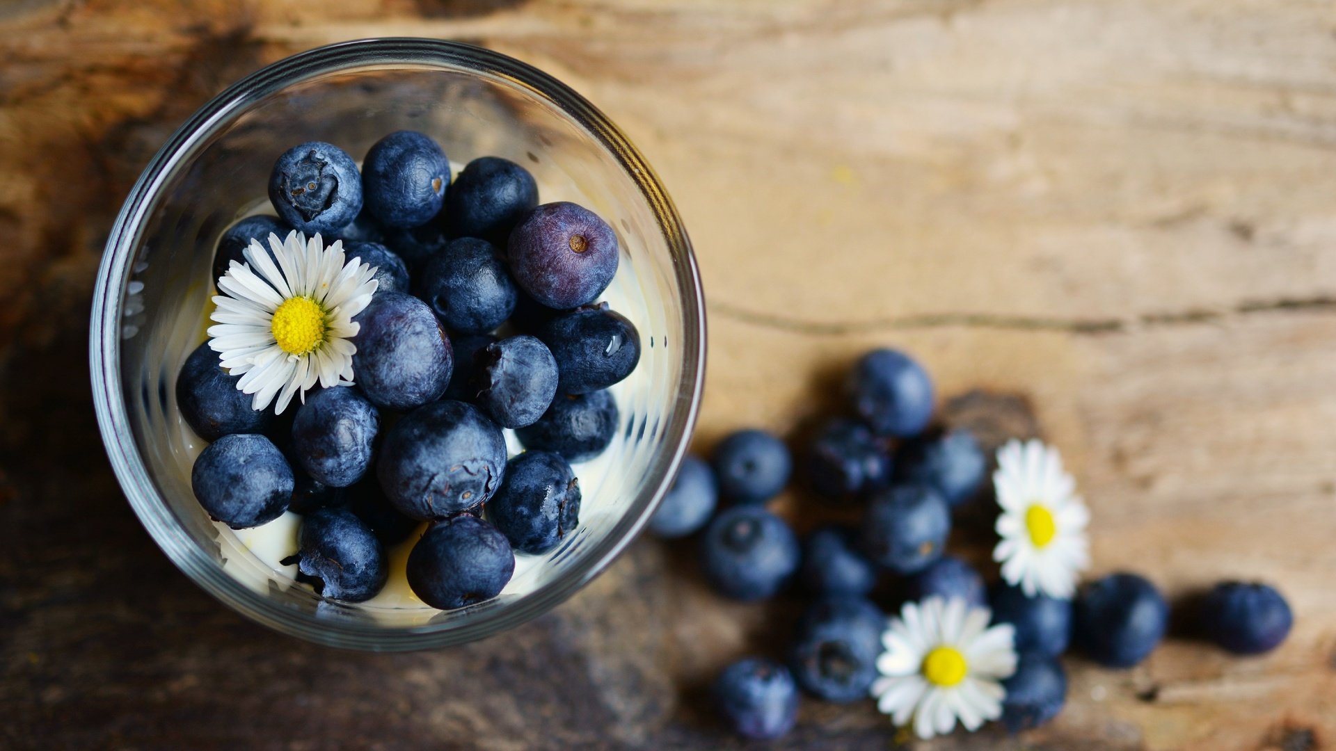 Обои цветы, ромашки, ягоды, черника, стакан, flowers, chamomile, berries, blueberries, glass разрешение 3534x1920 Загрузить