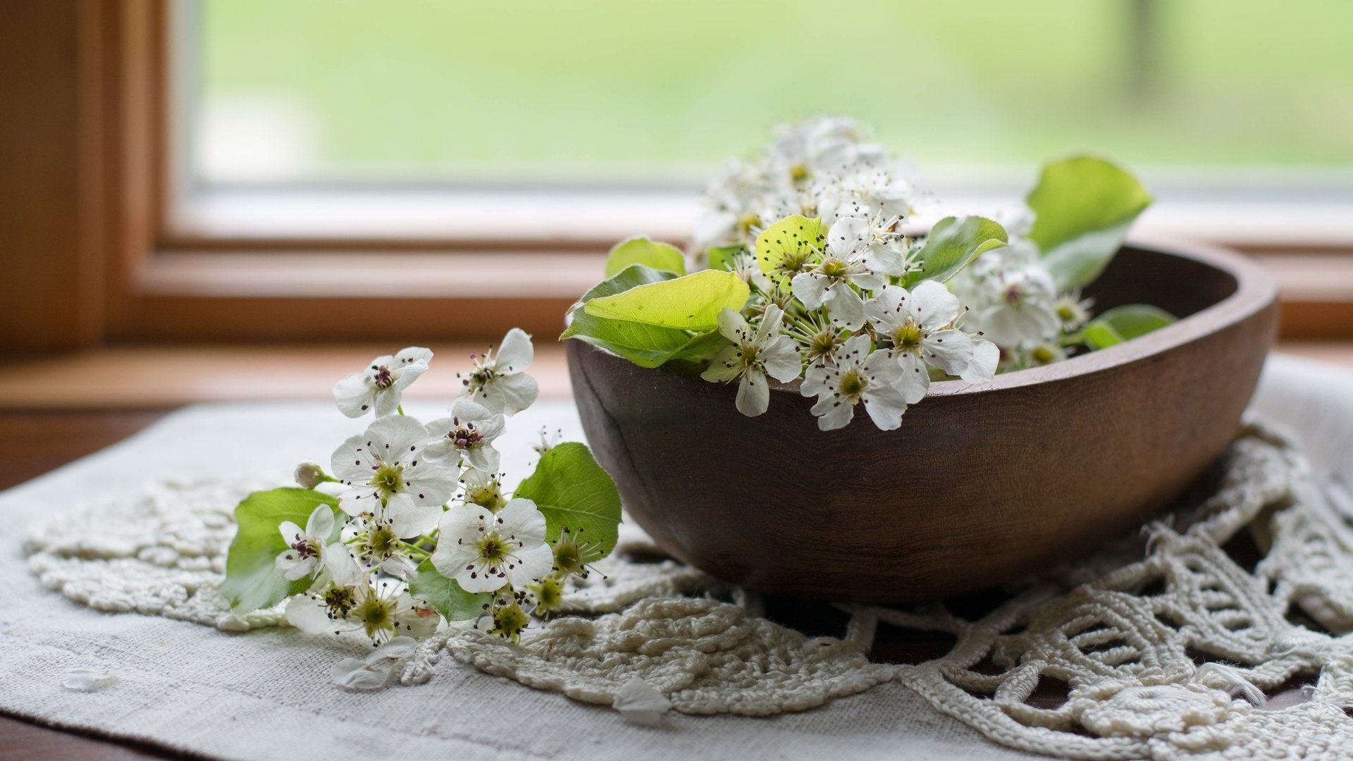 Обои цветы, цветение, листья, лепестки, весна, салфетка, груша, миска, flowers, flowering, leaves, petals, spring, napkin, pear, bowl разрешение 4500x3000 Загрузить