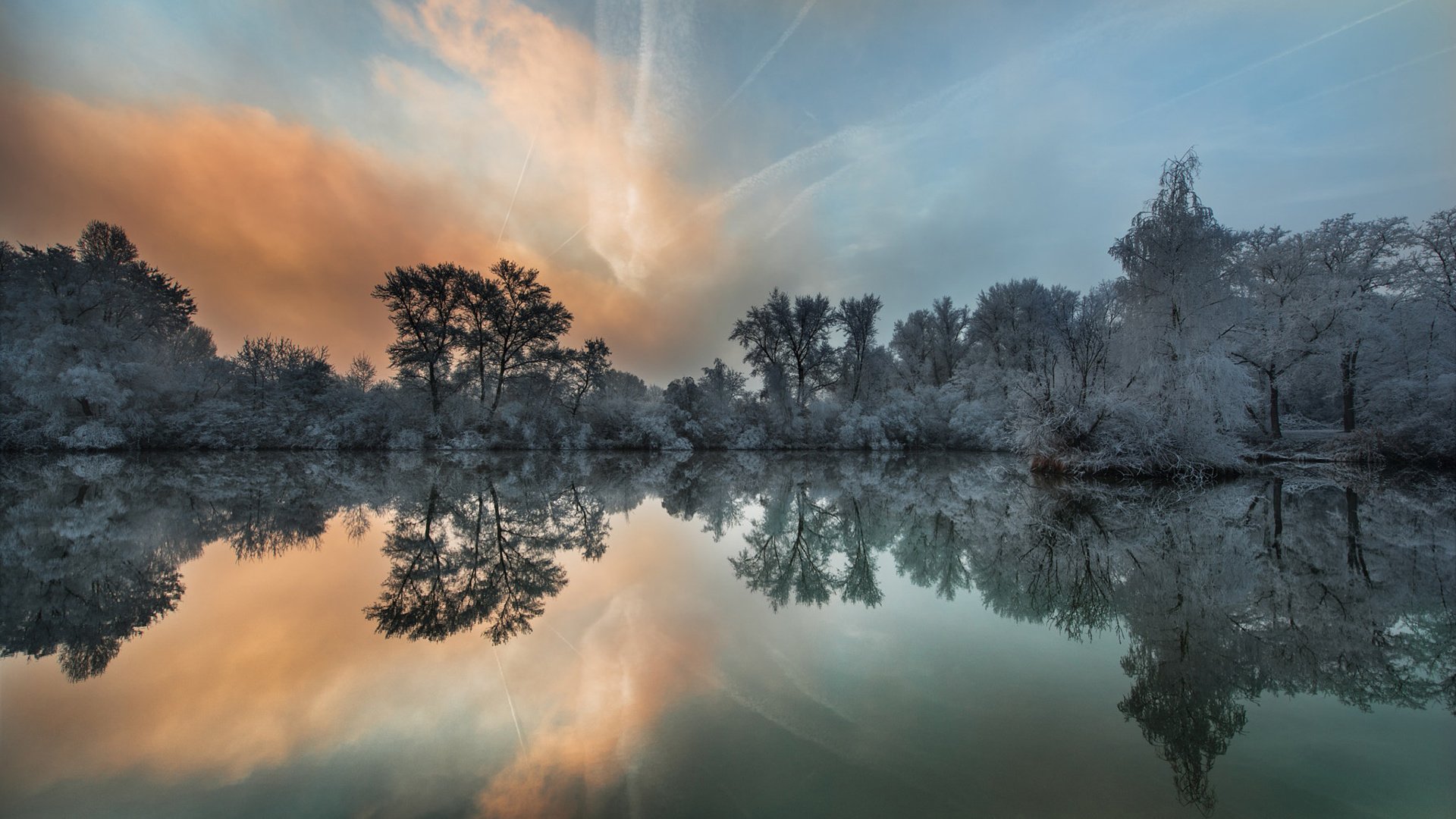 Обои озеро, природа, лес, отражение, кусты, иней, lake, nature, forest, reflection, the bushes, frost разрешение 1920x1200 Загрузить