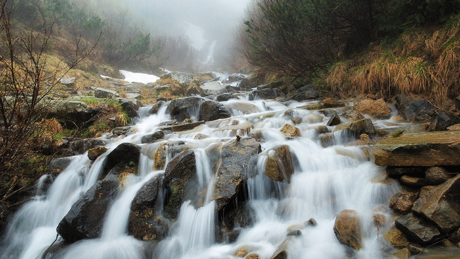 Обои река, скалы, природа, камни, лес, ручей, водопад, карпаты, river, rocks, nature, stones, forest, stream, waterfall, carpathians разрешение 1920x1284 Загрузить