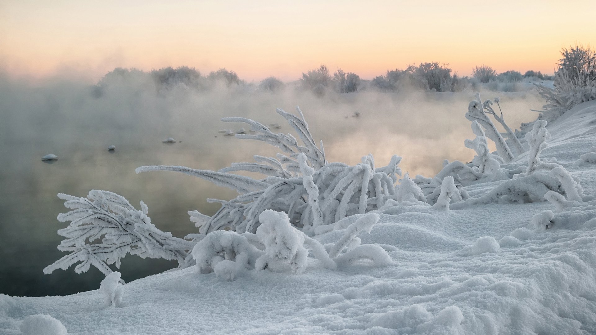 Обои река, снег, природа, растения, зима, туман, кусты, иней, river, snow, nature, plants, winter, fog, the bushes, frost разрешение 1920x1200 Загрузить