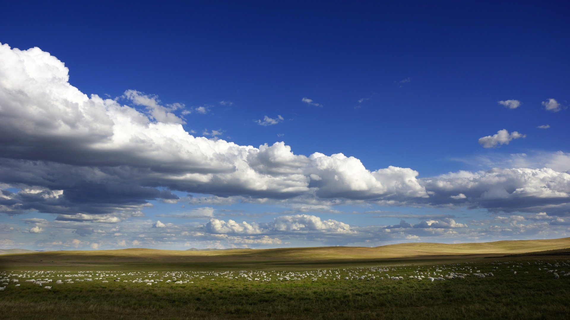 Обои небо, облака, поле, горизонт, голубое небо, the sky, clouds, field, horizon, blue sky разрешение 6000x3375 Загрузить