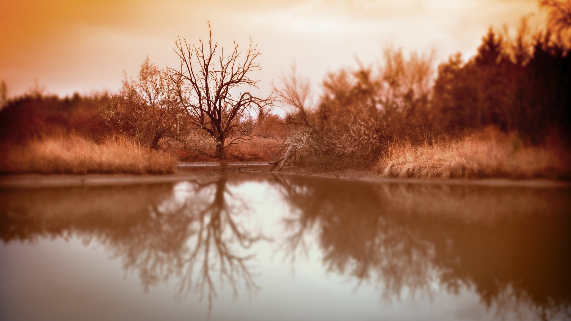 Обои озеро, дерево, отражение, фон, осень, lake, tree, reflection, background, autumn разрешение 2048x1361 Загрузить