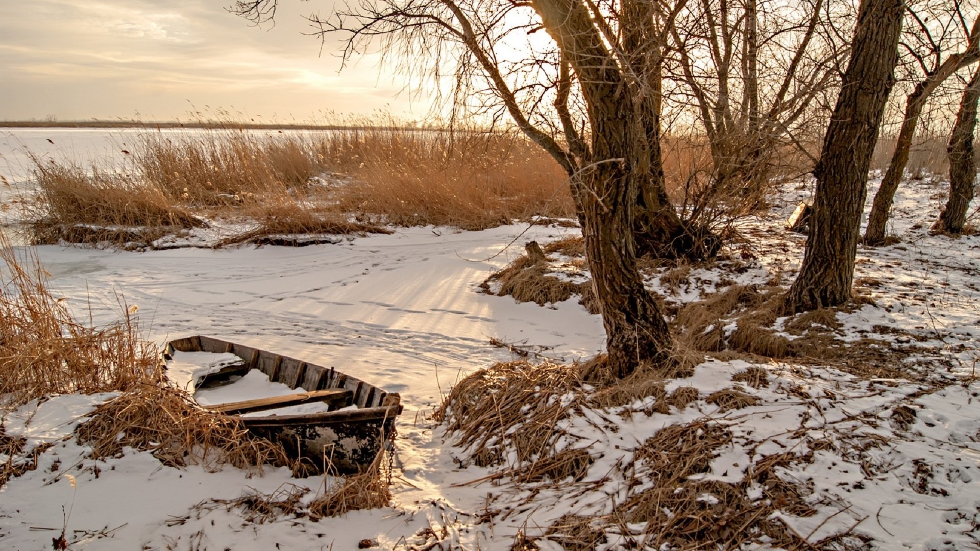 Обои деревья, снег, природа, зима, лодка, камыш, марина соколова,     деревья, trees, snow, nature, winter, boat, reed, marina sokolova разрешение 1920x1278 Загрузить