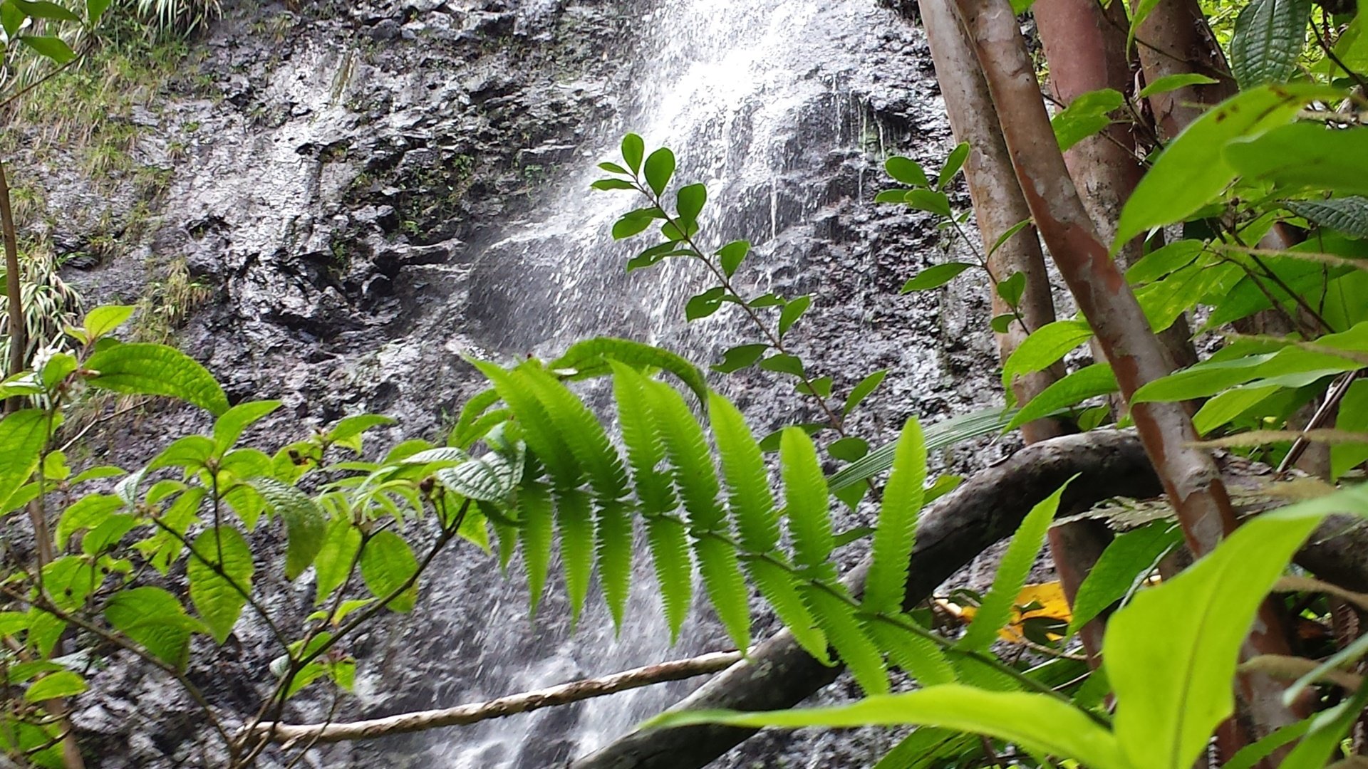Обои водопад, waterfall разрешение 4128x2322 Загрузить