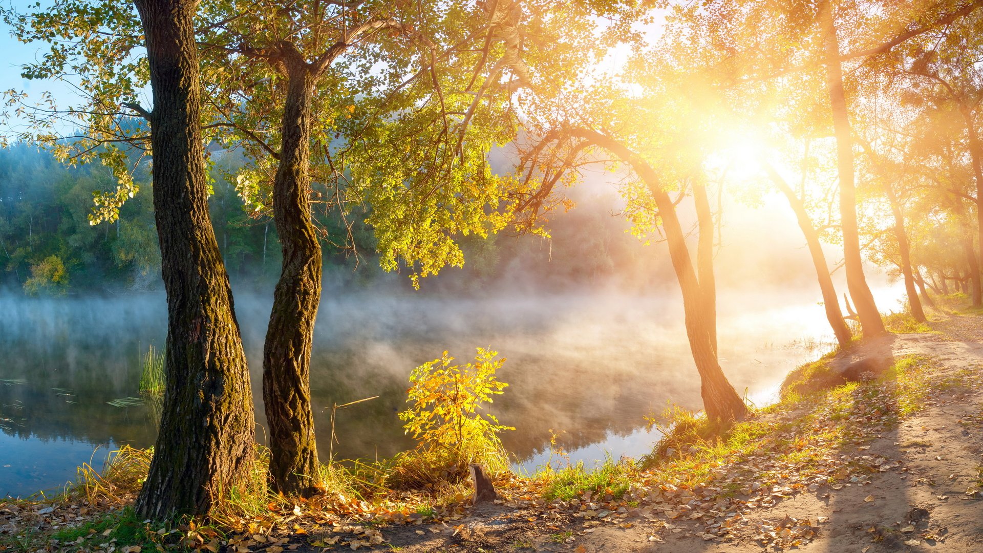 Обои деревья, озеро, солнце, туман, рассвет, осень, олнце, trees, lake, the sun, fog, dawn, autumn разрешение 5000x2960 Загрузить