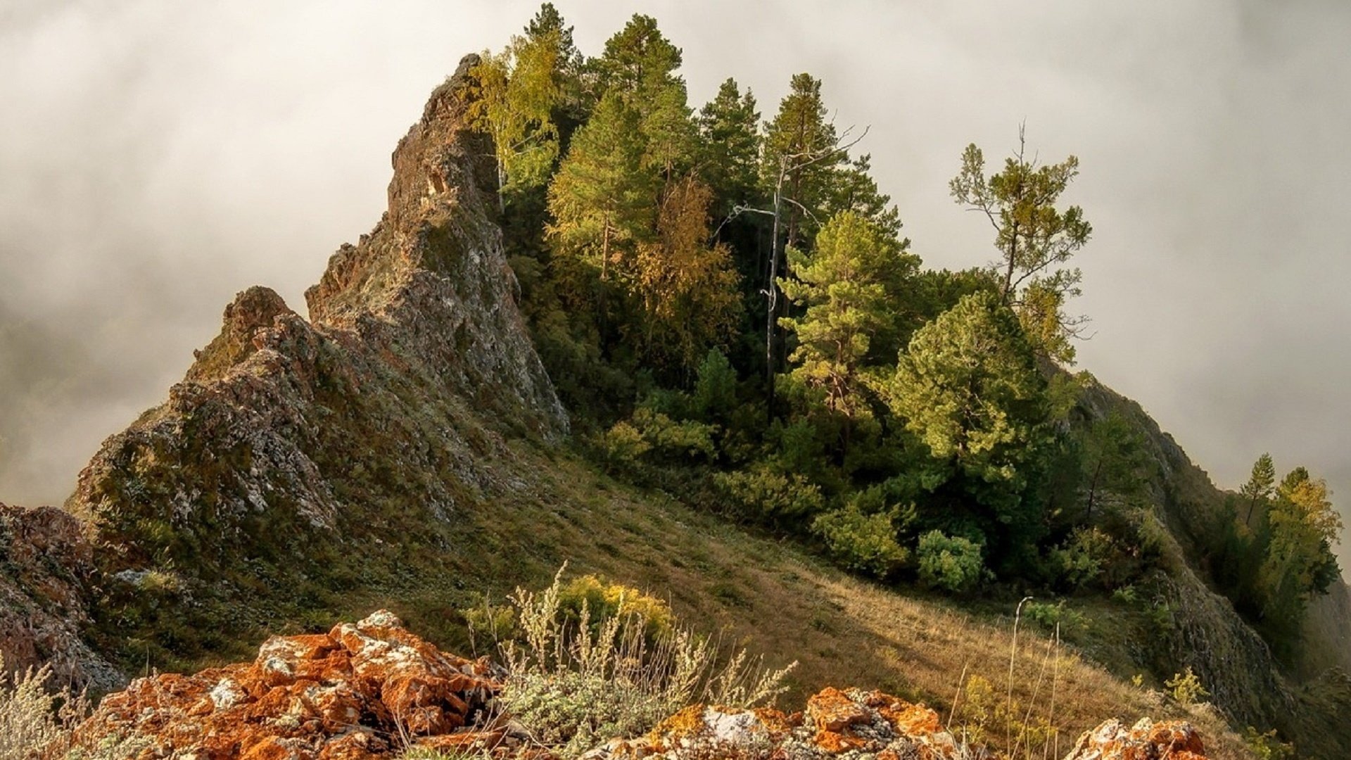 Обои деревья, горы, склон, горный хребет, хребет, марина фомина, trees, mountains, slope, mountain range, ridge, marina fomina разрешение 1920x1213 Загрузить