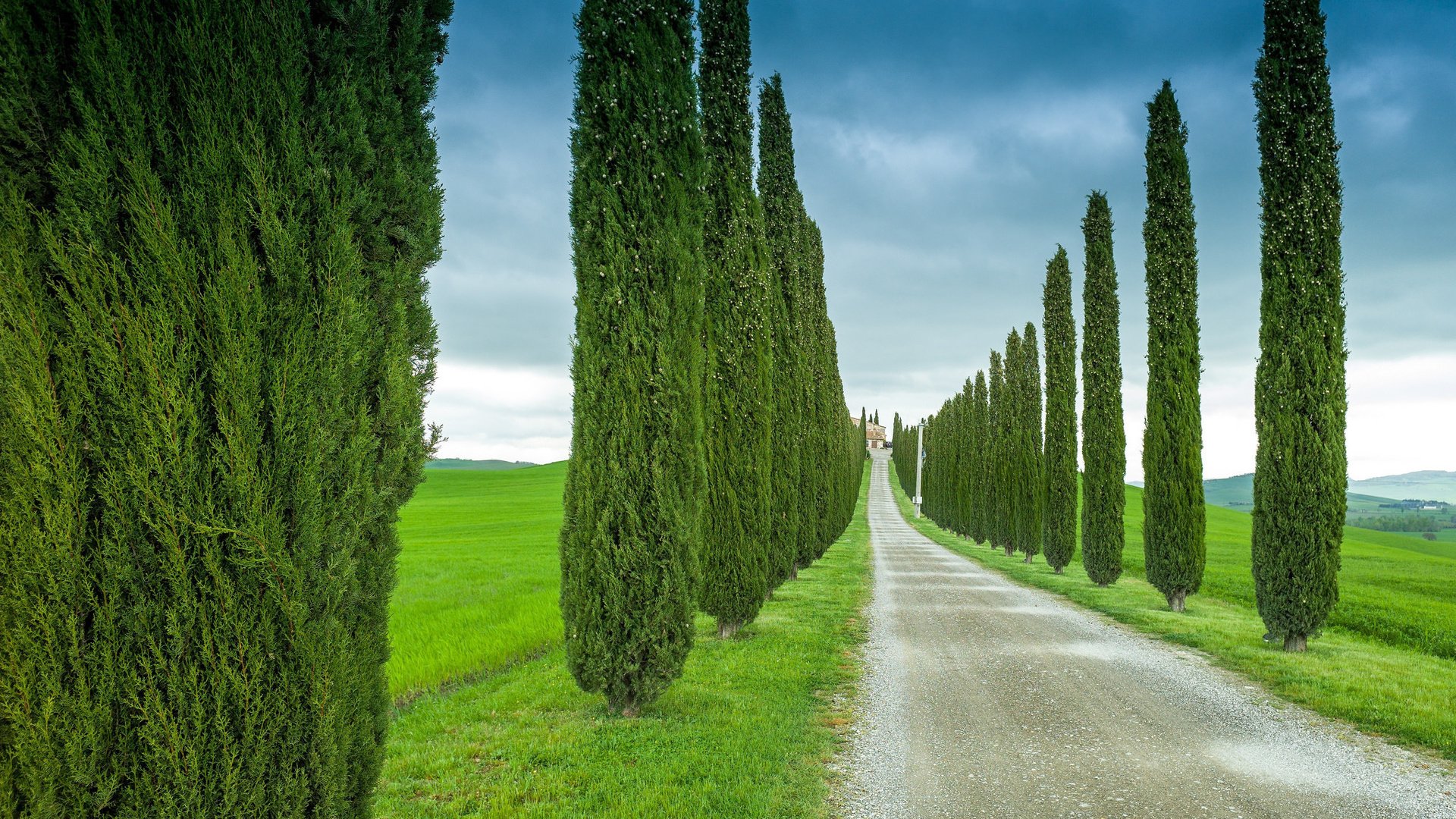 Обои небо, дорога, трава, деревья, италия, тоскана, кипарис, the sky, road, grass, trees, italy, tuscany, cypress разрешение 2048x1363 Загрузить