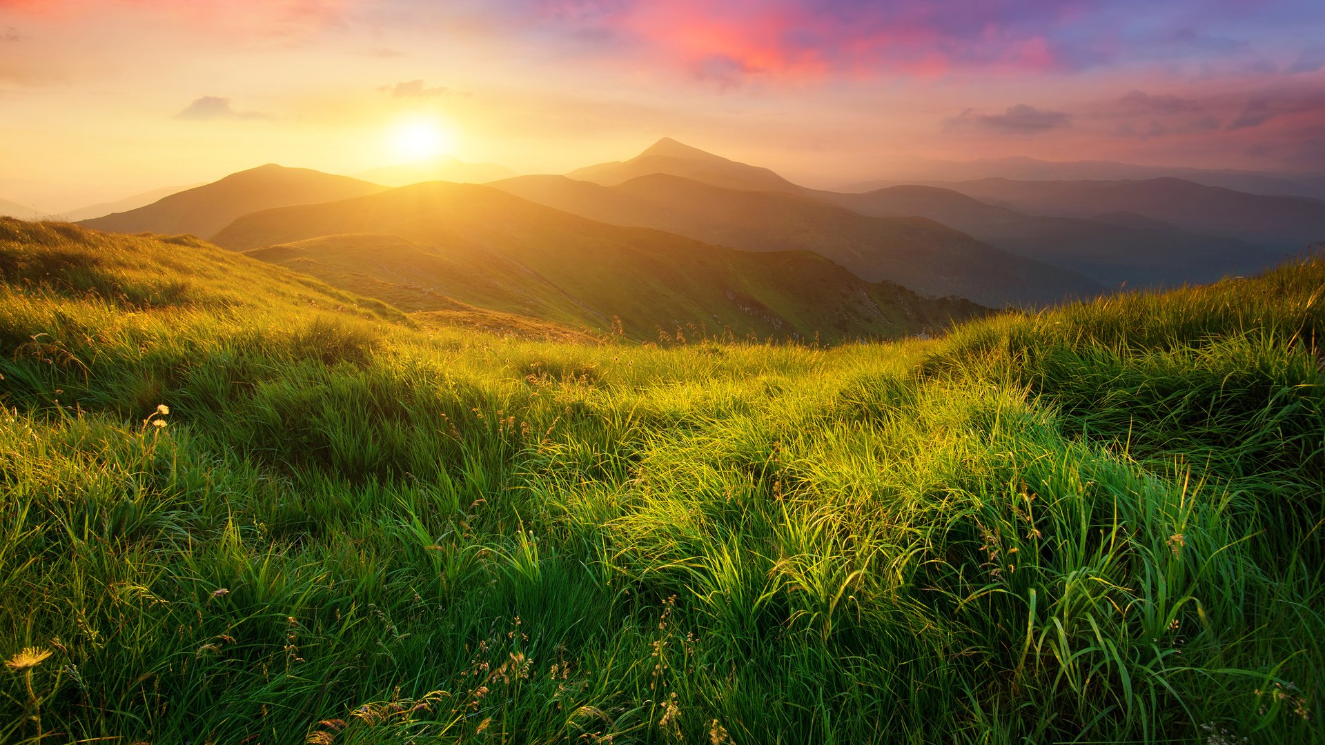 Обои трава, солнце, холмы, природа, пейзаж, луга, biletskyi ievgenii, grass, the sun, hills, nature, landscape, meadows, biletskyi use разрешение 3840x2400 Загрузить