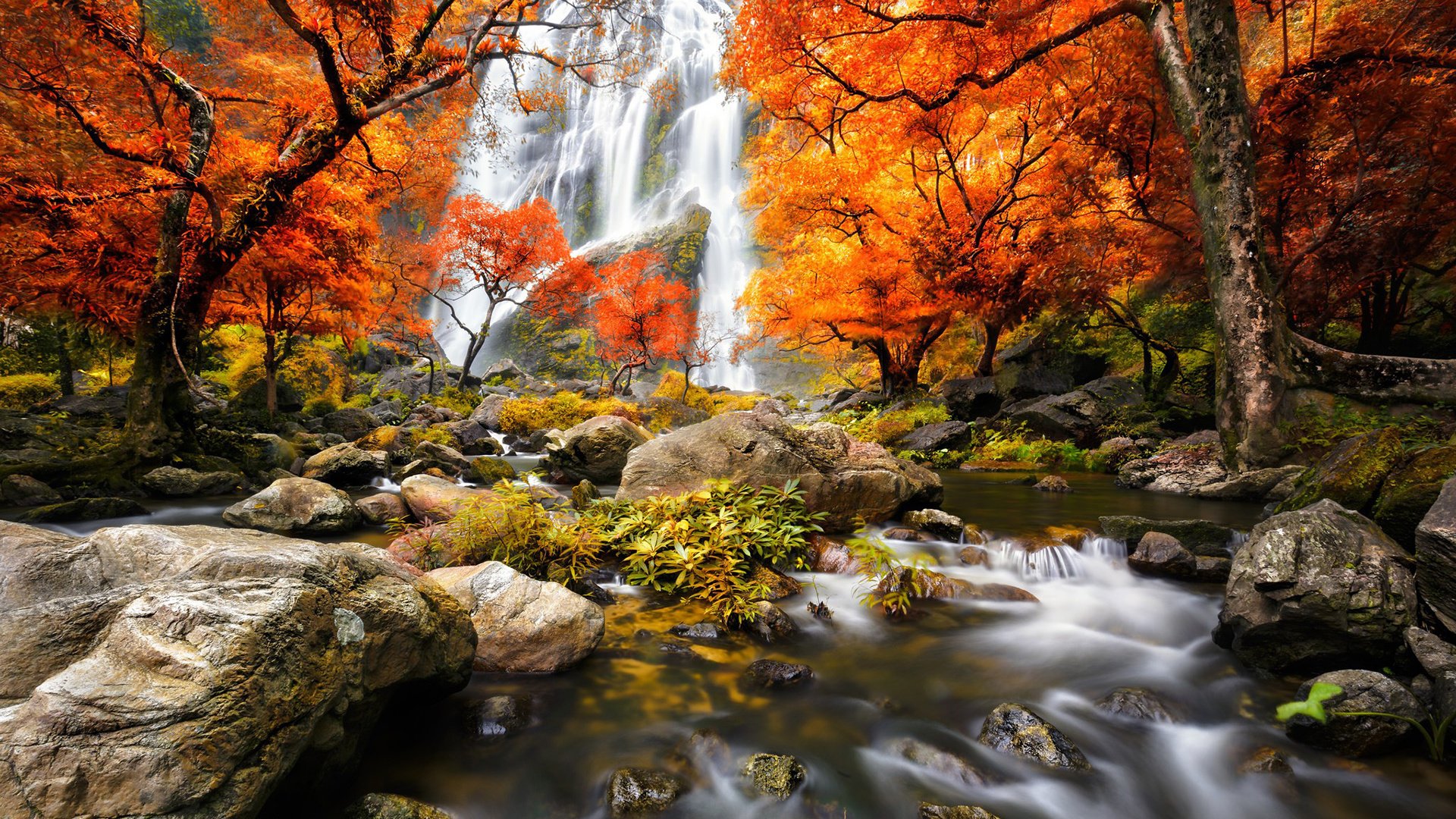 Обои трава, деревья, река, камни, лес, водопад, осень, мох, grass, trees, river, stones, forest, waterfall, autumn, moss разрешение 1920x1200 Загрузить