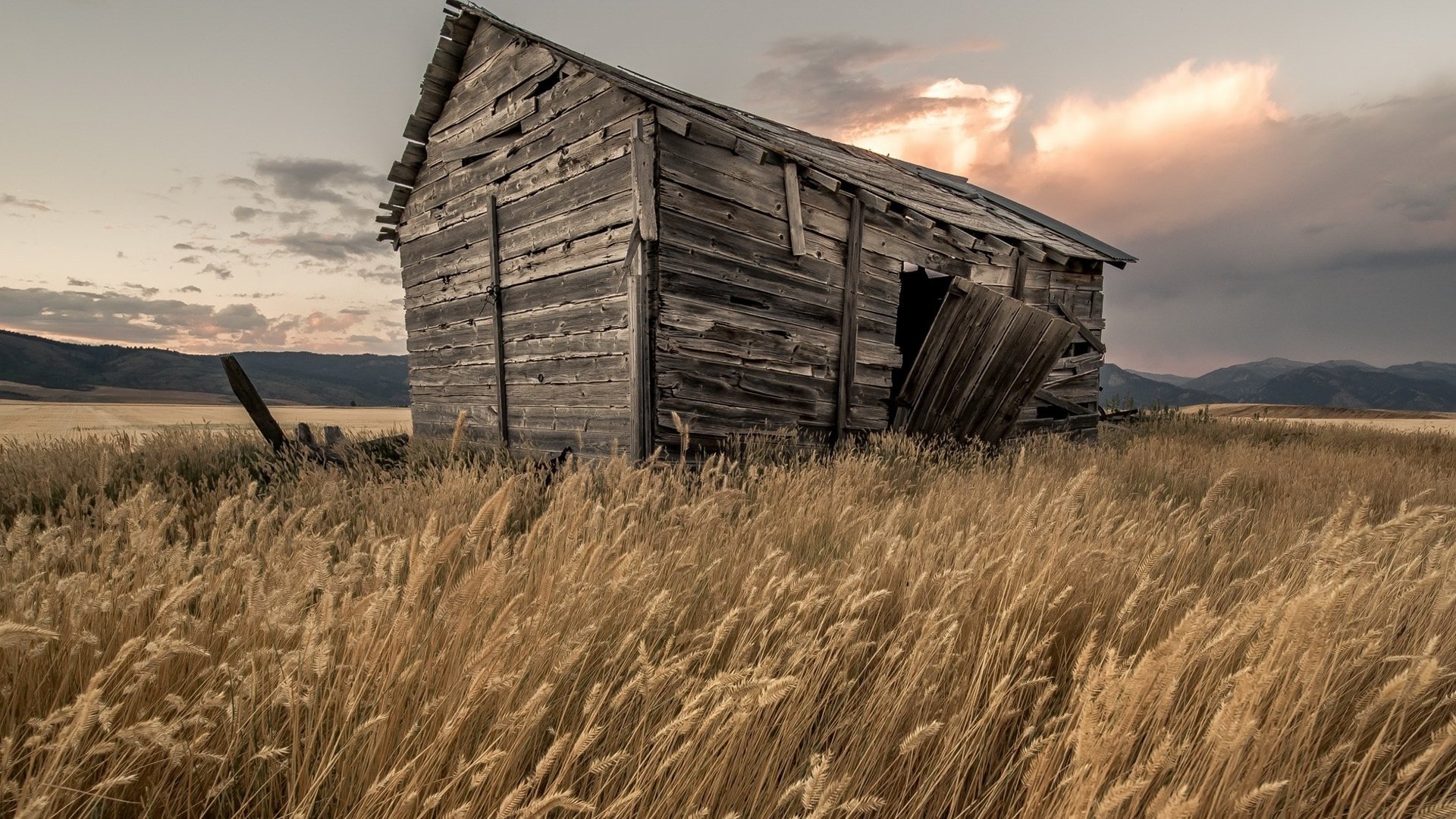 Обои небо, трава, облака, поле, дом, колоски, сарай, the sky, grass, clouds, field, house, spikelets, the barn разрешение 2010x1385 Загрузить