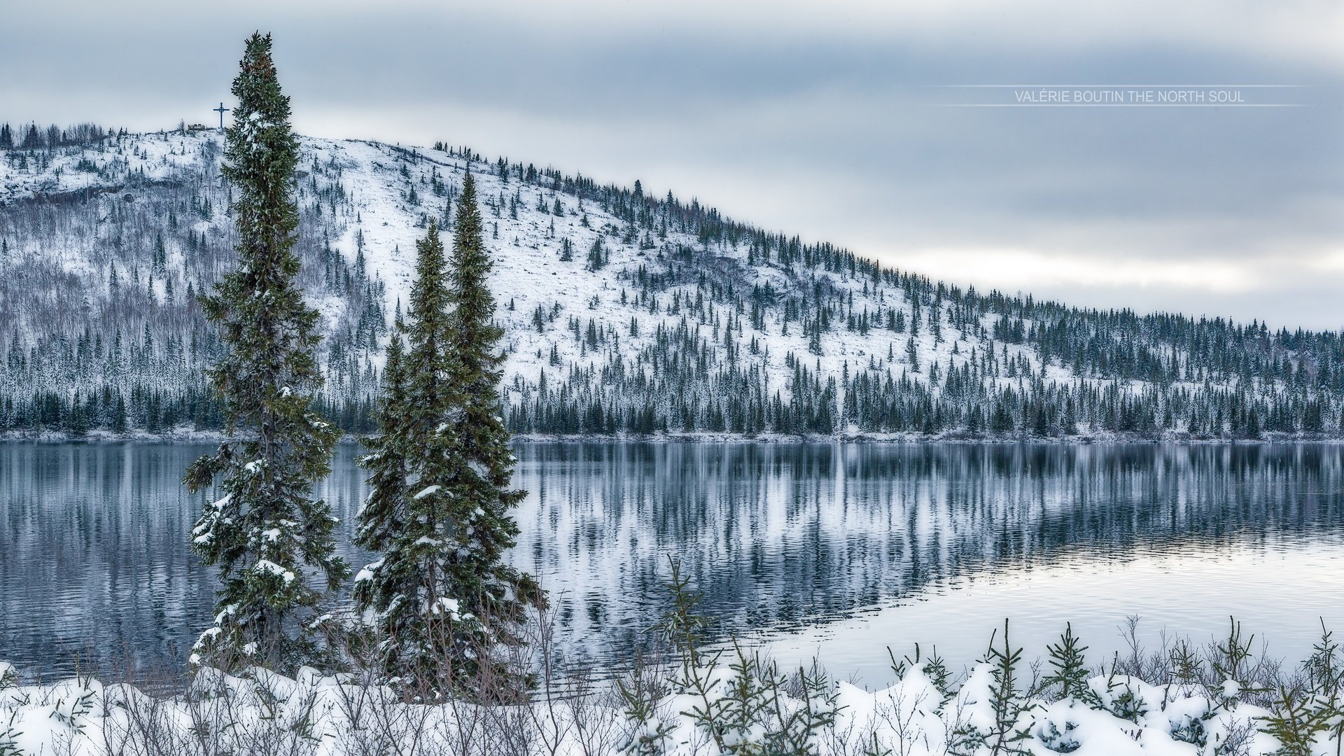 Обои озеро, снег, дерево, зима, гора, он, lake, snow, tree, winter, mountain, it разрешение 5631x3167 Загрузить