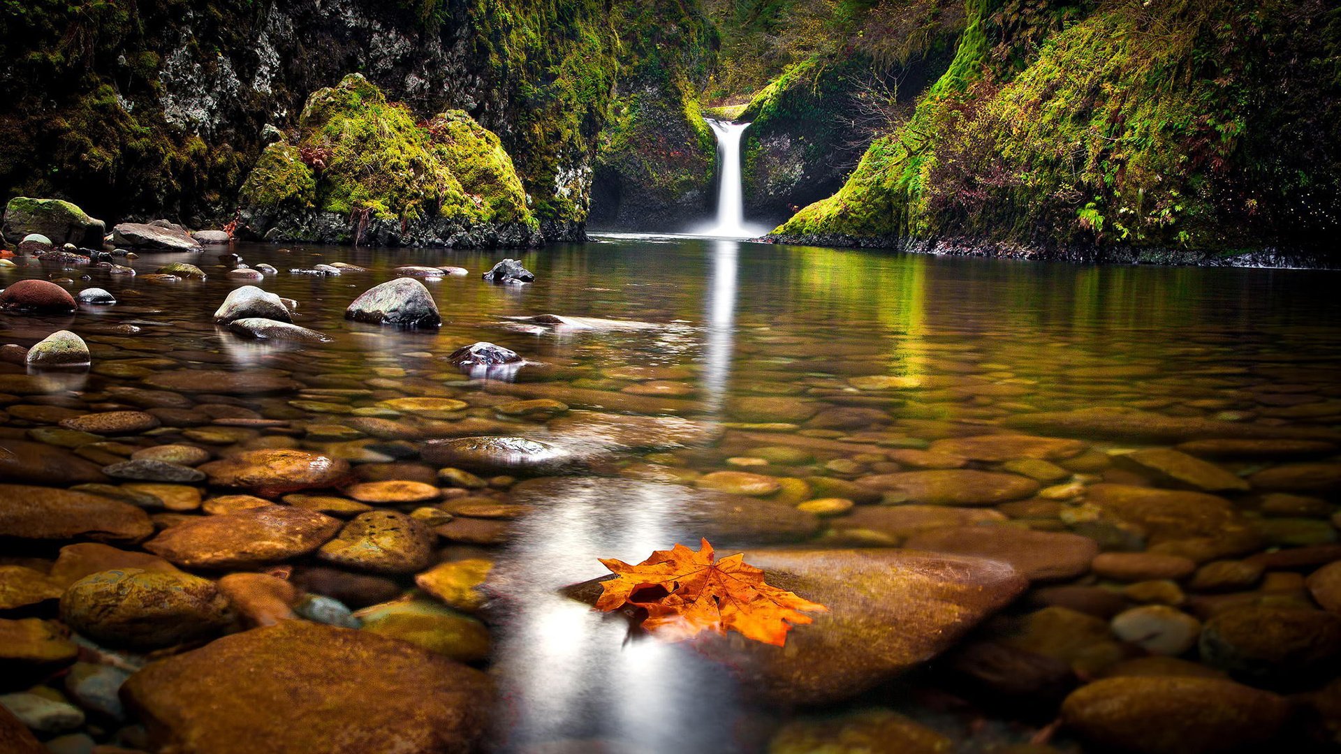 Обои озеро, природа, камни, лес, водопад, осень, дно, lake, nature, stones, forest, waterfall, autumn, the bottom разрешение 1920x1200 Загрузить