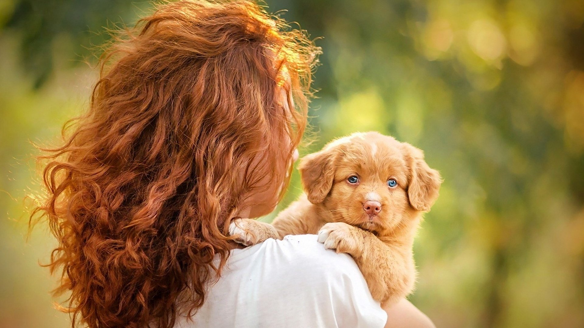 Обои девушка, настроение, собака, щенок, голубые глаза, рыжеволосая, girl, mood, dog, puppy, blue eyes, redhead разрешение 1920x1200 Загрузить
