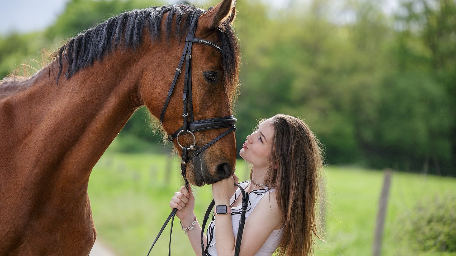 Обои лошадь, девушка, профиль, конь, грива, друзья, horse, girl, profile, mane, friends разрешение 2000x1333 Загрузить