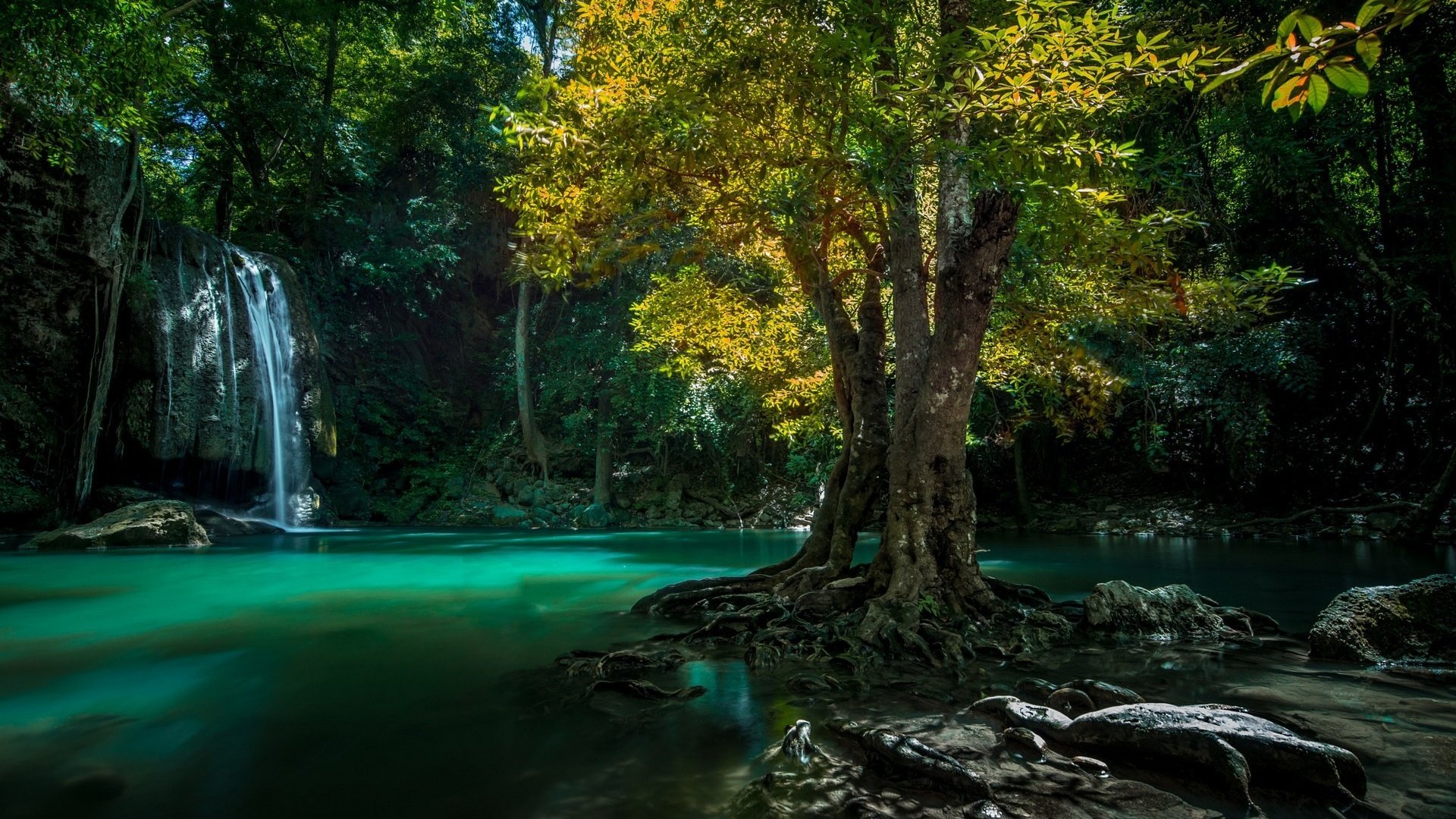 Обои вода, тропики, природа, дерево, камни, лес, водопад, корни, таиланд, water, tropics, nature, tree, stones, forest, waterfall, roots, thailand разрешение 1920x1200 Загрузить