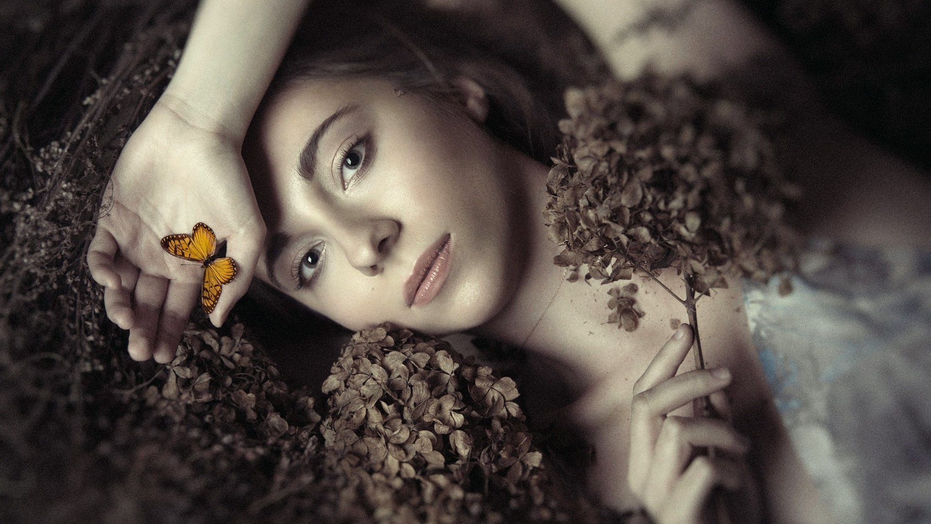 Обои цветы, девушка, портрет, бабочка, модель, фотосессия, ania, flowers, girl, portrait, butterfly, model, photoshoot разрешение 2000x1333 Загрузить