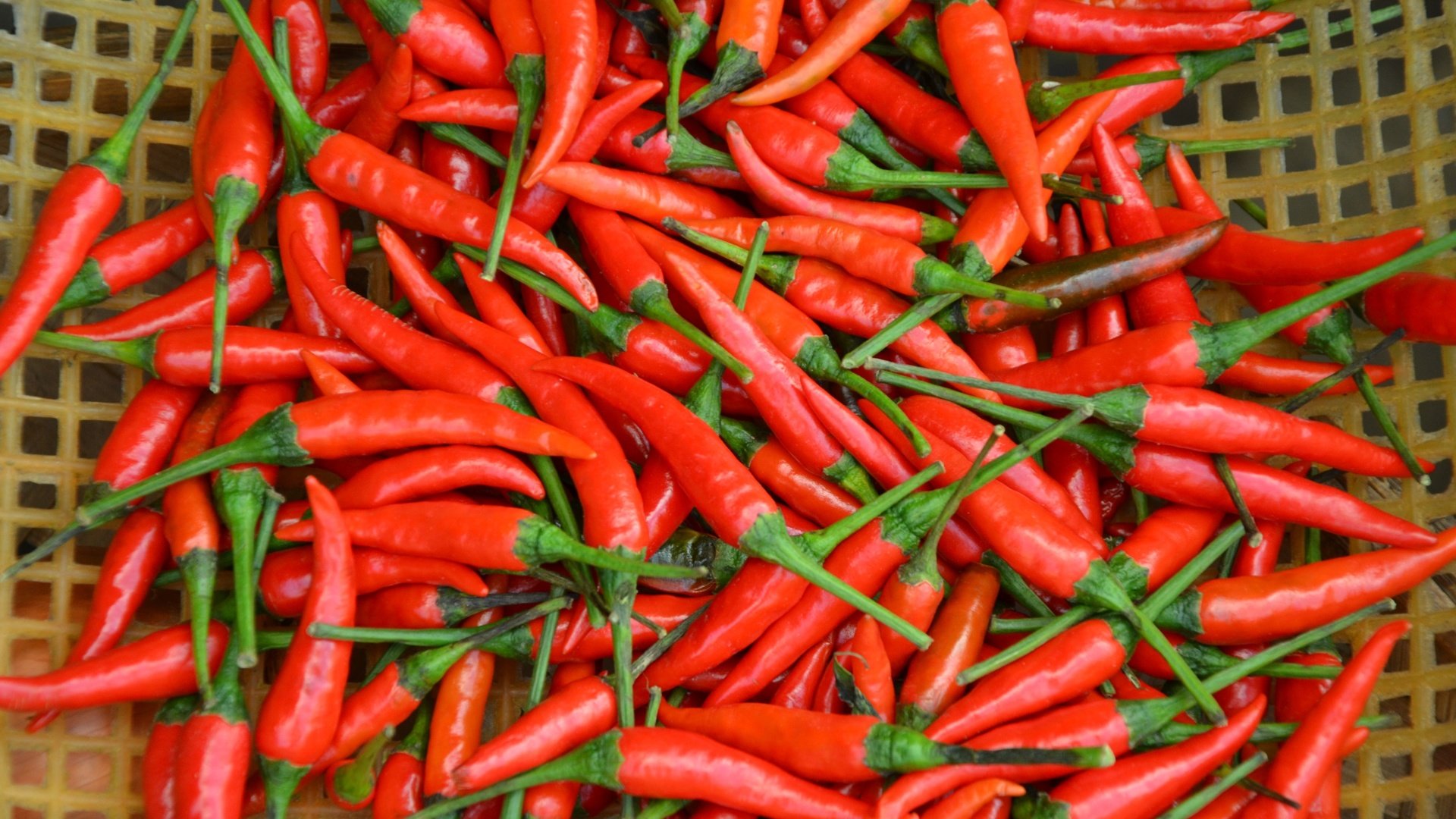 Обои красный, овощи, чили, перец, жгучий, перец чили, red, vegetables, chile, pepper, burning, chili разрешение 4608x3072 Загрузить