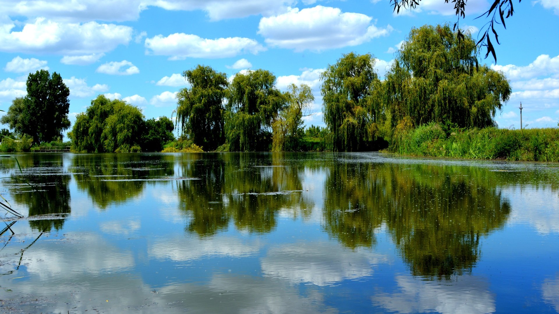 Обои небо, облака, деревья, озеро, отражение, пейзаж, лето, ивы, the sky, clouds, trees, lake, reflection, landscape, summer, willow разрешение 6000x4000 Загрузить