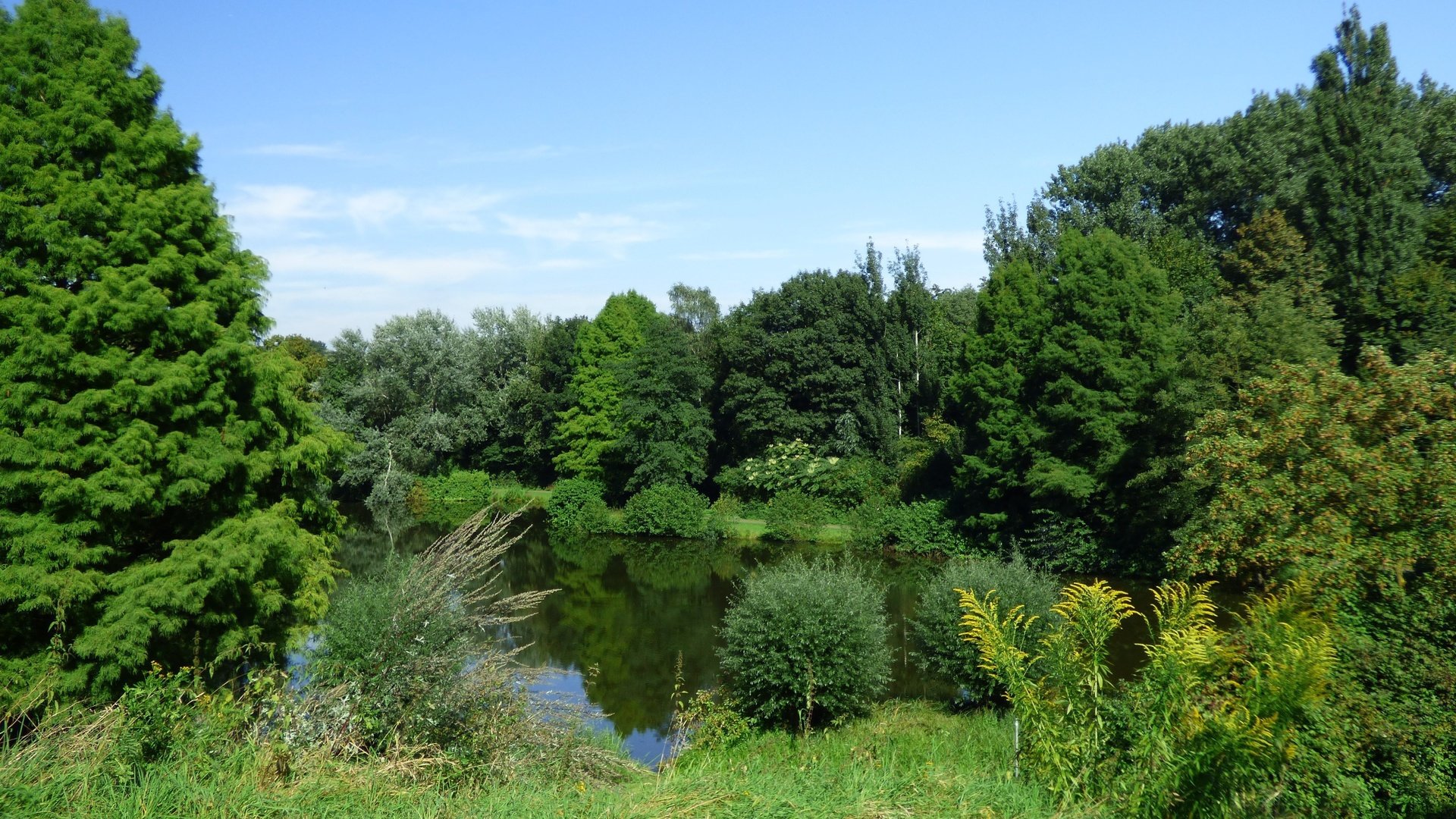 Обои озеро, лес, lake, forest разрешение 4608x2879 Загрузить