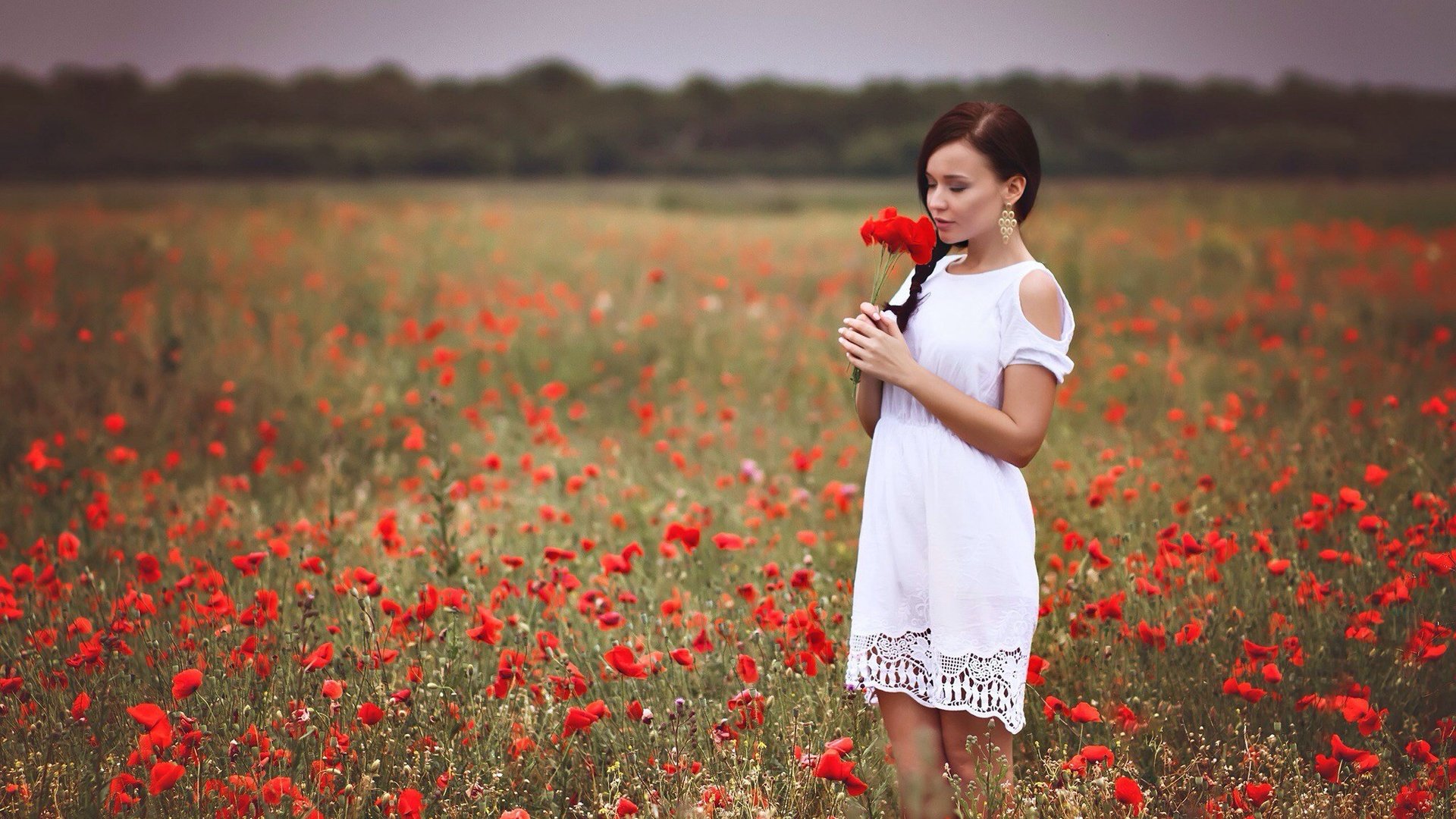 Обои девушка, платье, поле, красные, маки, руки, белое платье, girl, dress, field, red, maki, hands, white dress разрешение 2048x1364 Загрузить