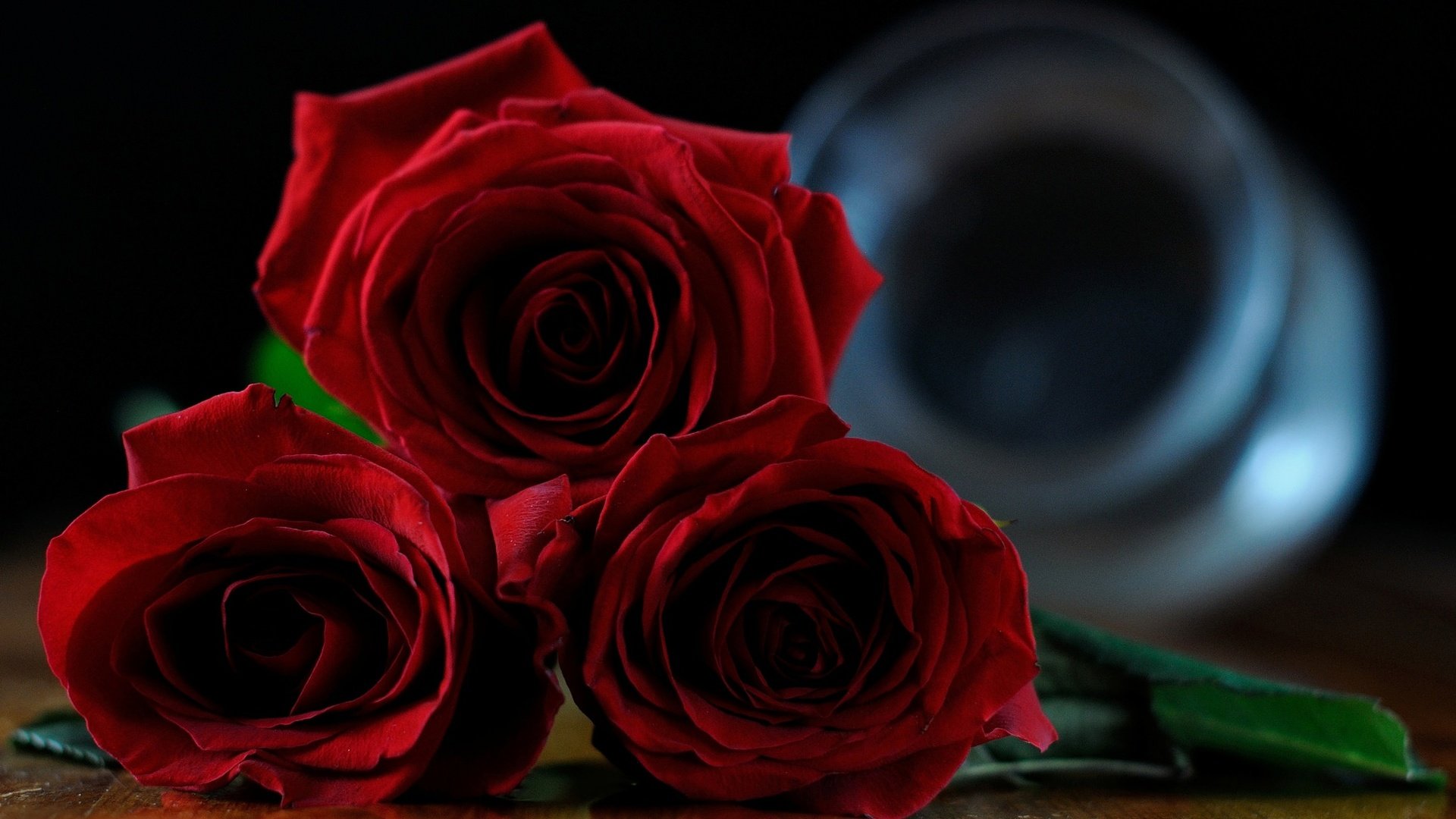 Обои цветы, бутоны, розы, красные розы, flowers, buds, roses, red roses разрешение 2048x1275 Загрузить