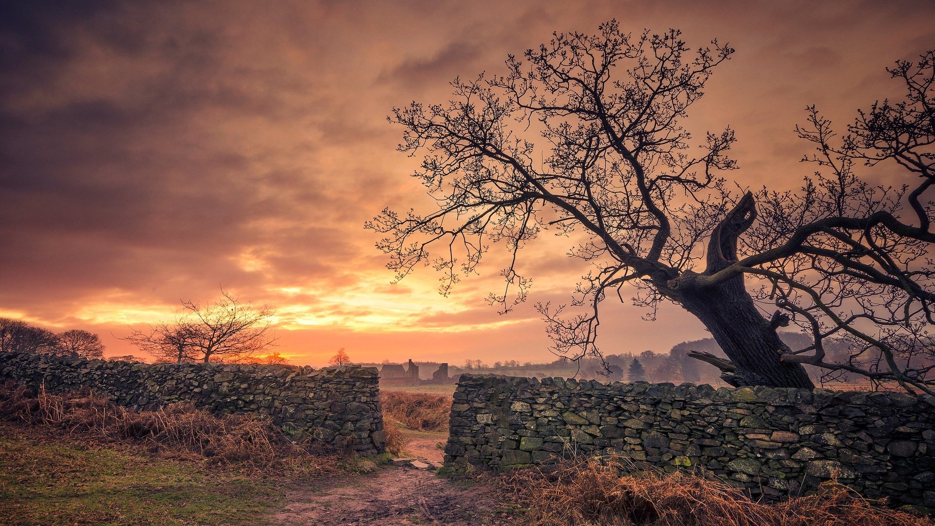 Обои облака, дерево, закат, забор, англия, брадгейт парк, clouds, tree, sunset, the fence, england, bradgate park разрешение 2048x1265 Загрузить