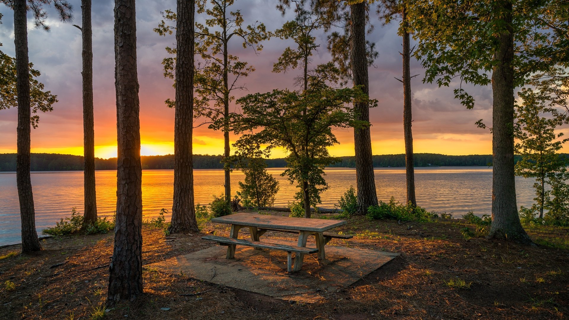 Обои деревья, озеро, берег, лес, закат, стволы, скамейка, trees, lake, shore, forest, sunset, trunks, bench разрешение 2048x1366 Загрузить