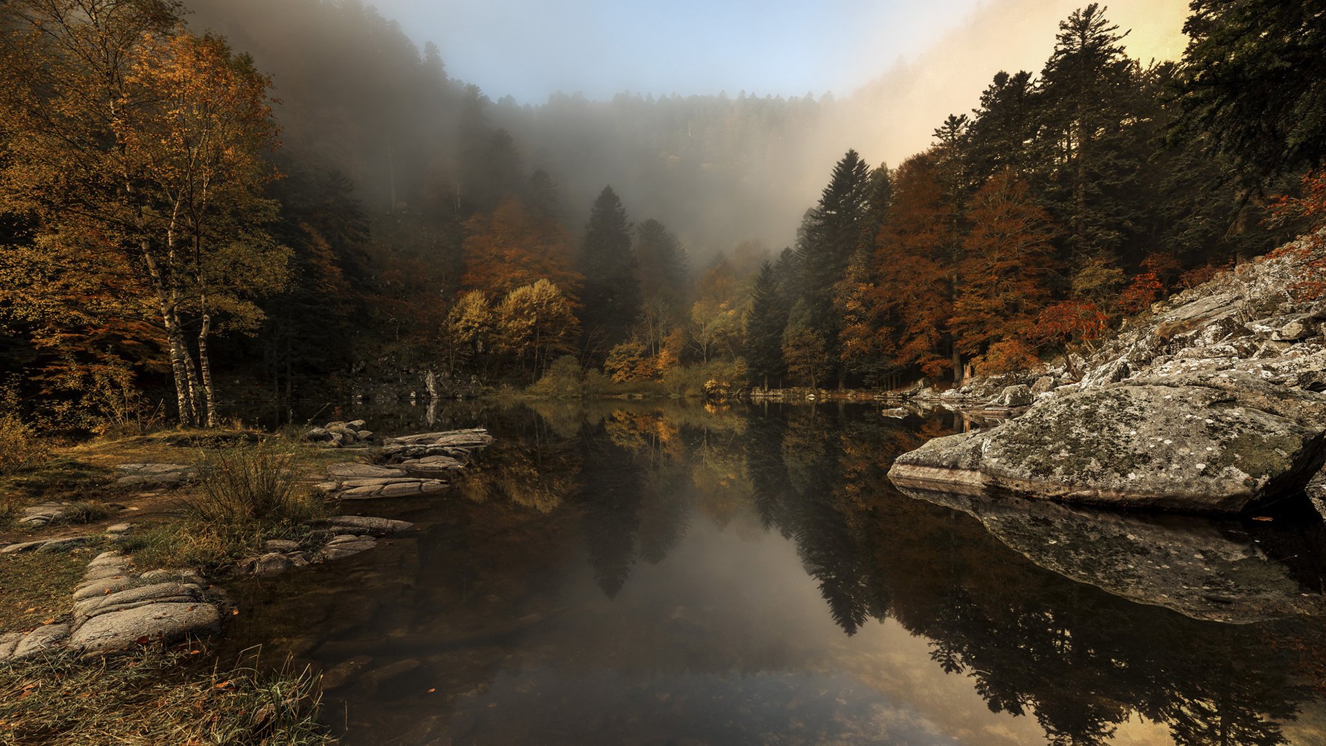 Обои деревья, река, природа, лес, туман, осень, etienne ruff, trees, river, nature, forest, fog, autumn разрешение 1920x1200 Загрузить