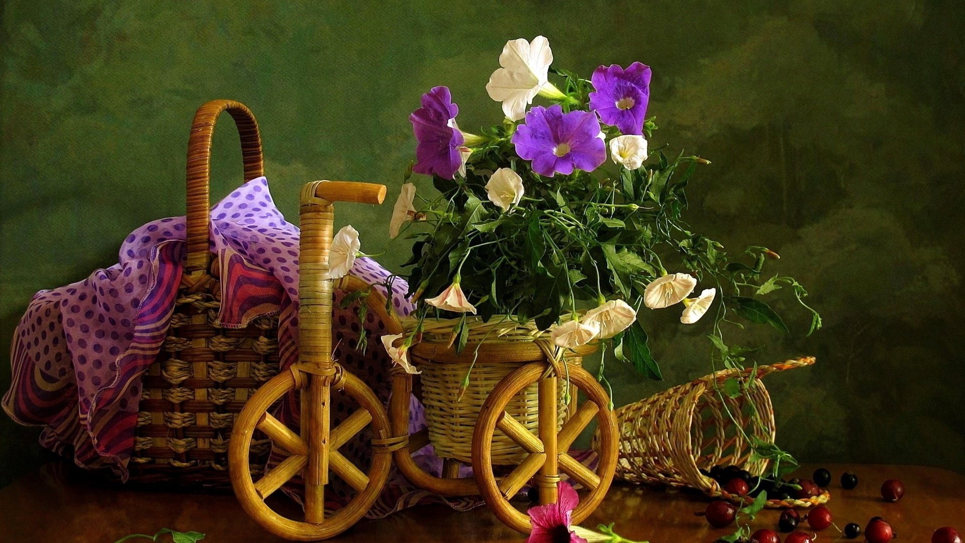 Обои цветы, вьюнок, букет, ягоды, вишня, велосипед, корзинка, смородина, композиция, flowers, bindweed, bouquet, berries, cherry, bike, basket, currants, composition разрешение 1920x1200 Загрузить